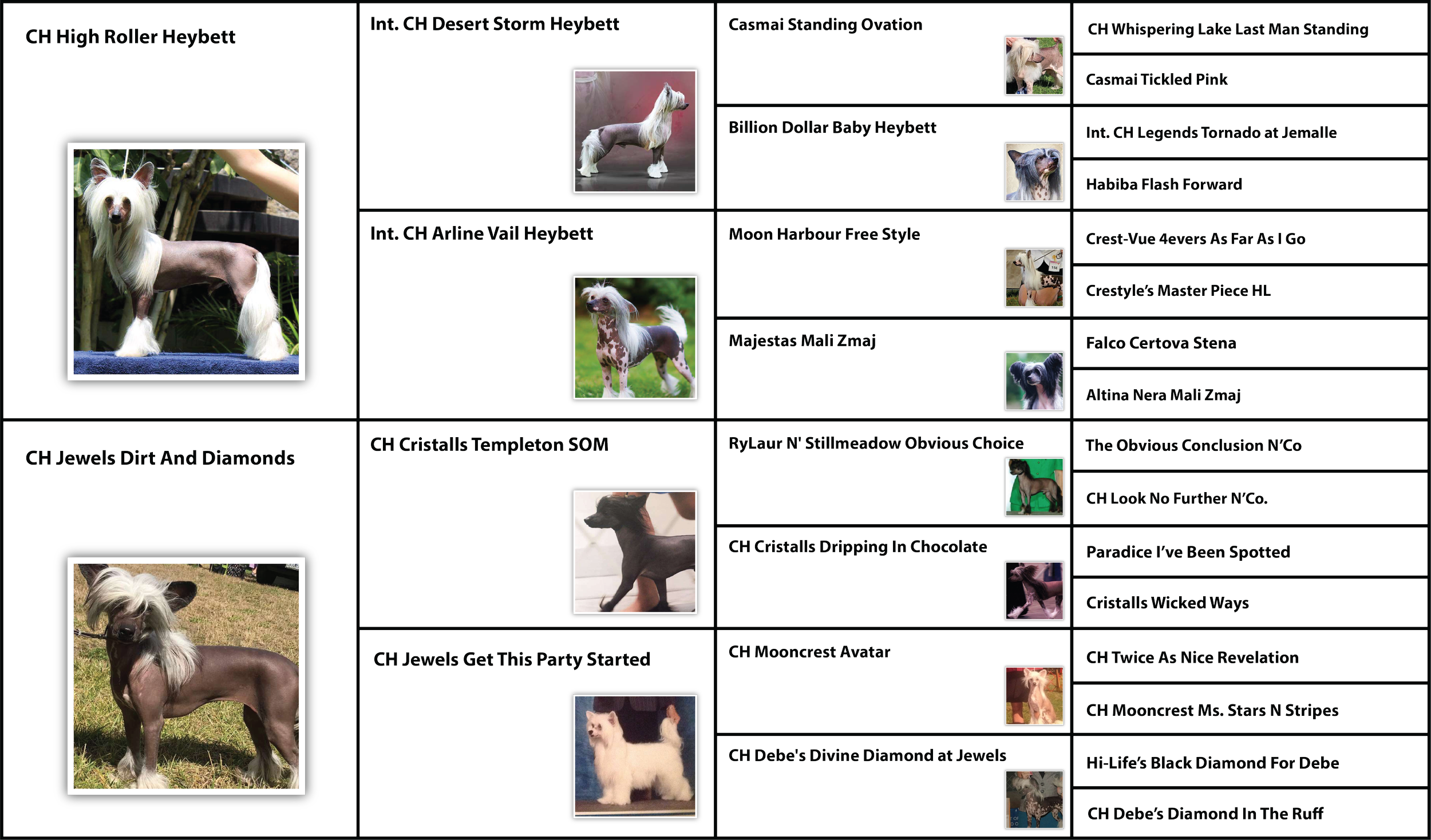 Chinese Crested Visual Pedigree