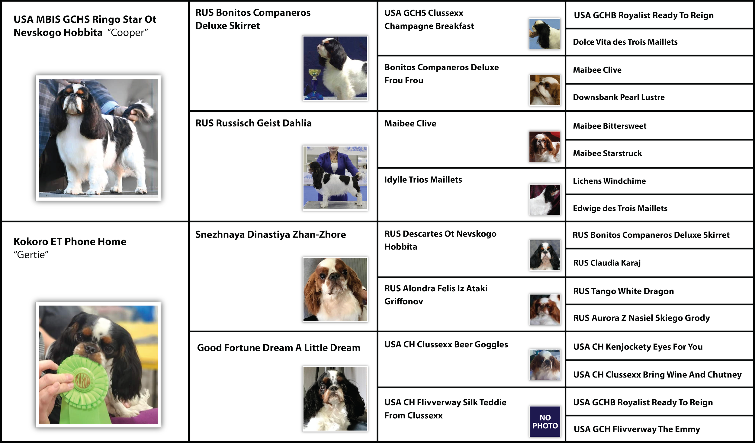 Tonks Visual pedigree