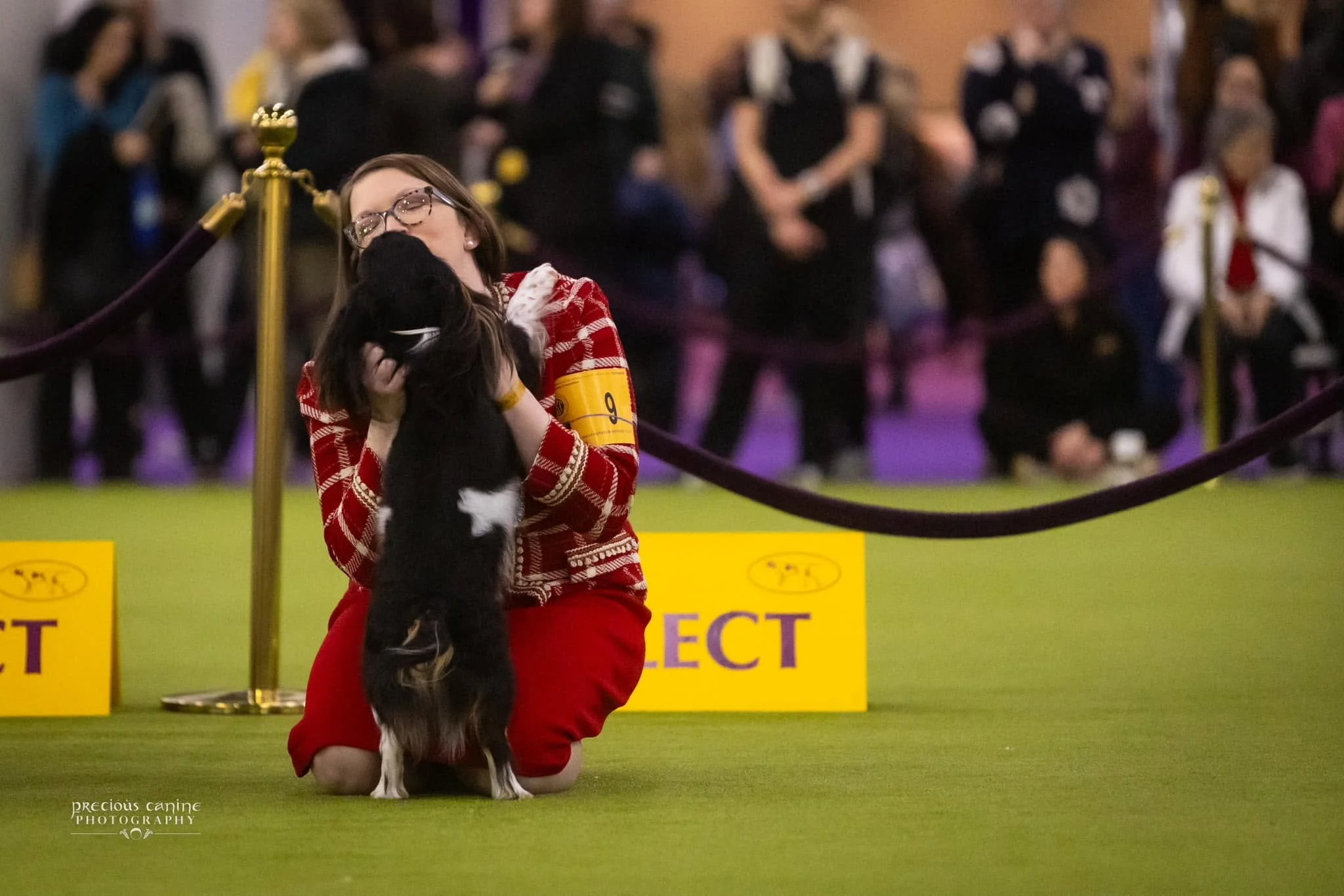 Lupin, English Toy Spaniel, and Meghann at Westminster Kennel Club