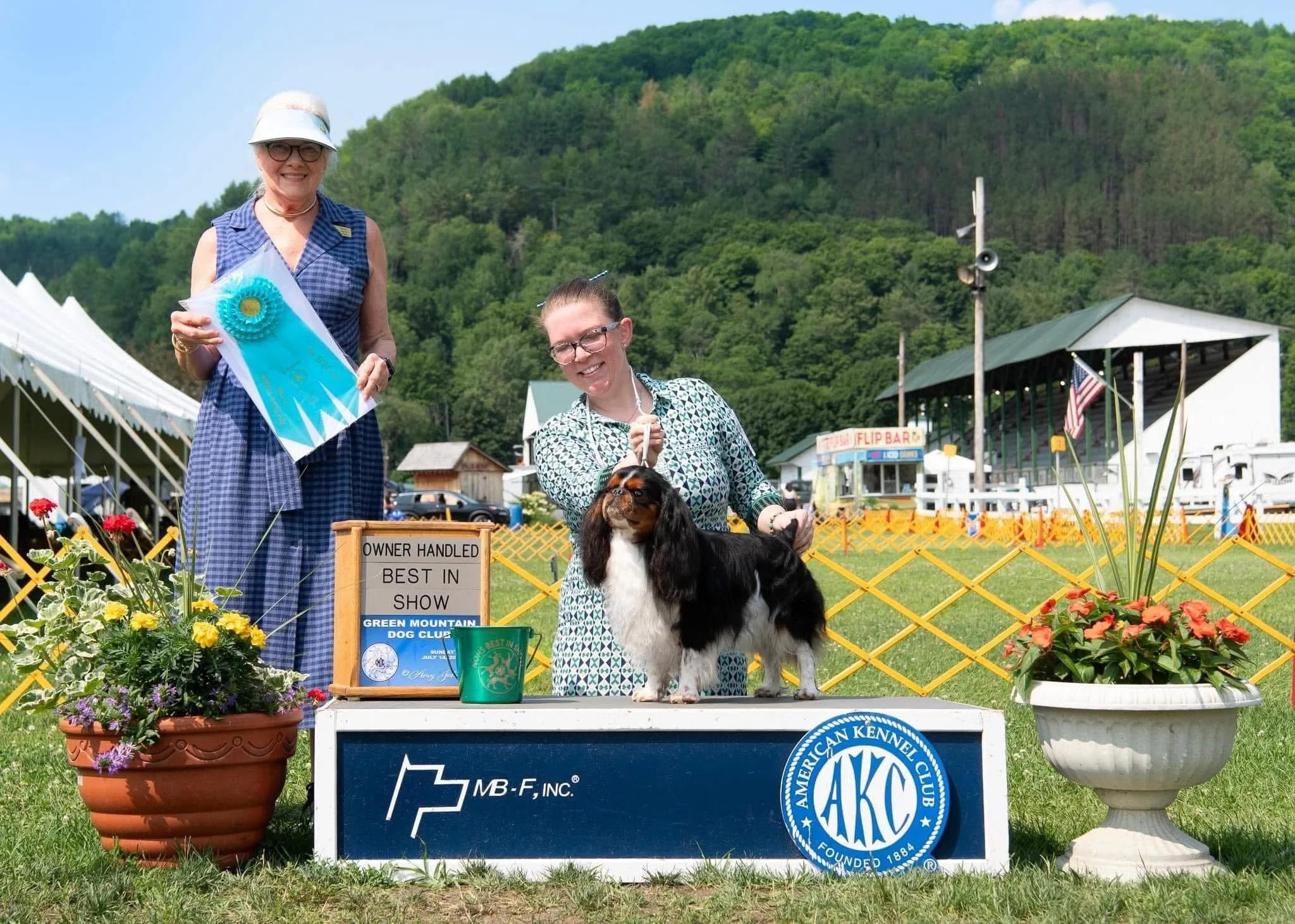 Lupin, English Toy Spaniel, winning Owner Handled Best In Show
