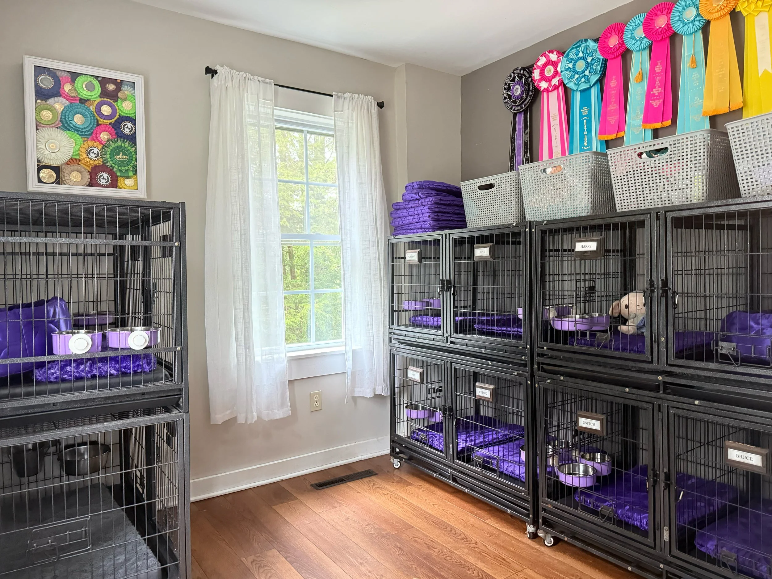Accio! and Galleon Dog Room Setup