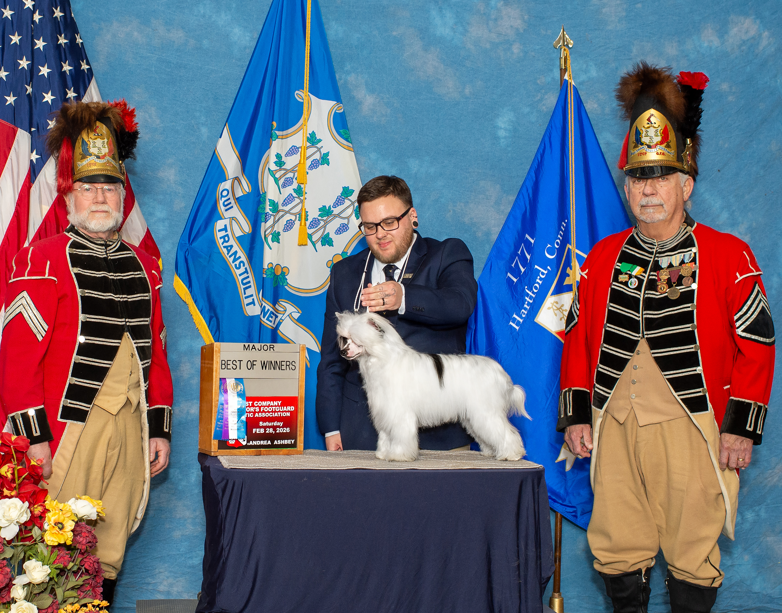 Showcasing our English Toy Spaniel and Chinese Crested dogs—health tested, proven in the show ring, and bred with purpose. Our breeding program emphasizes OFA-tested health, strong pedigrees, and champion bloodlines.