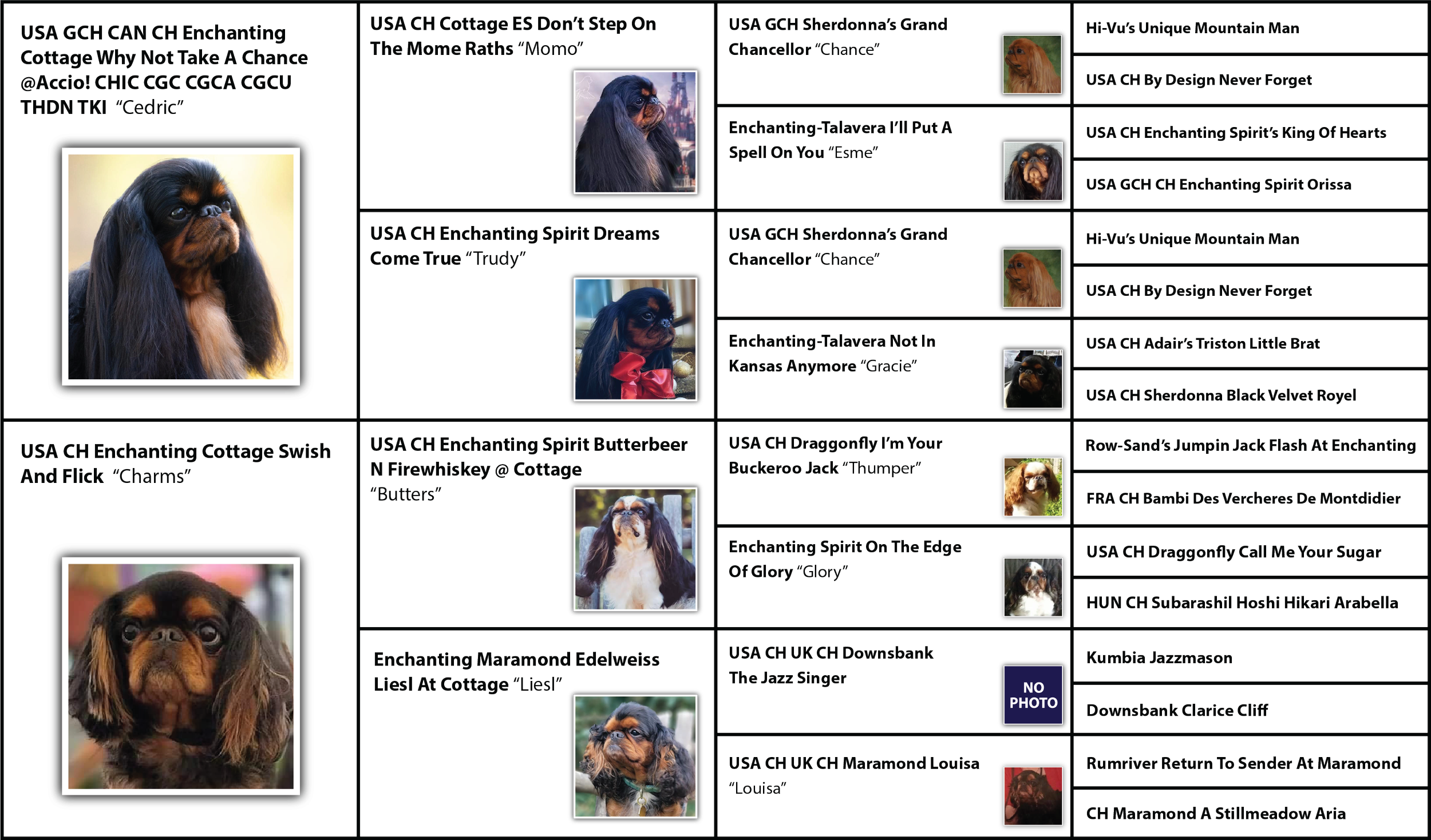 Nox & Snitch Visual Pedigree