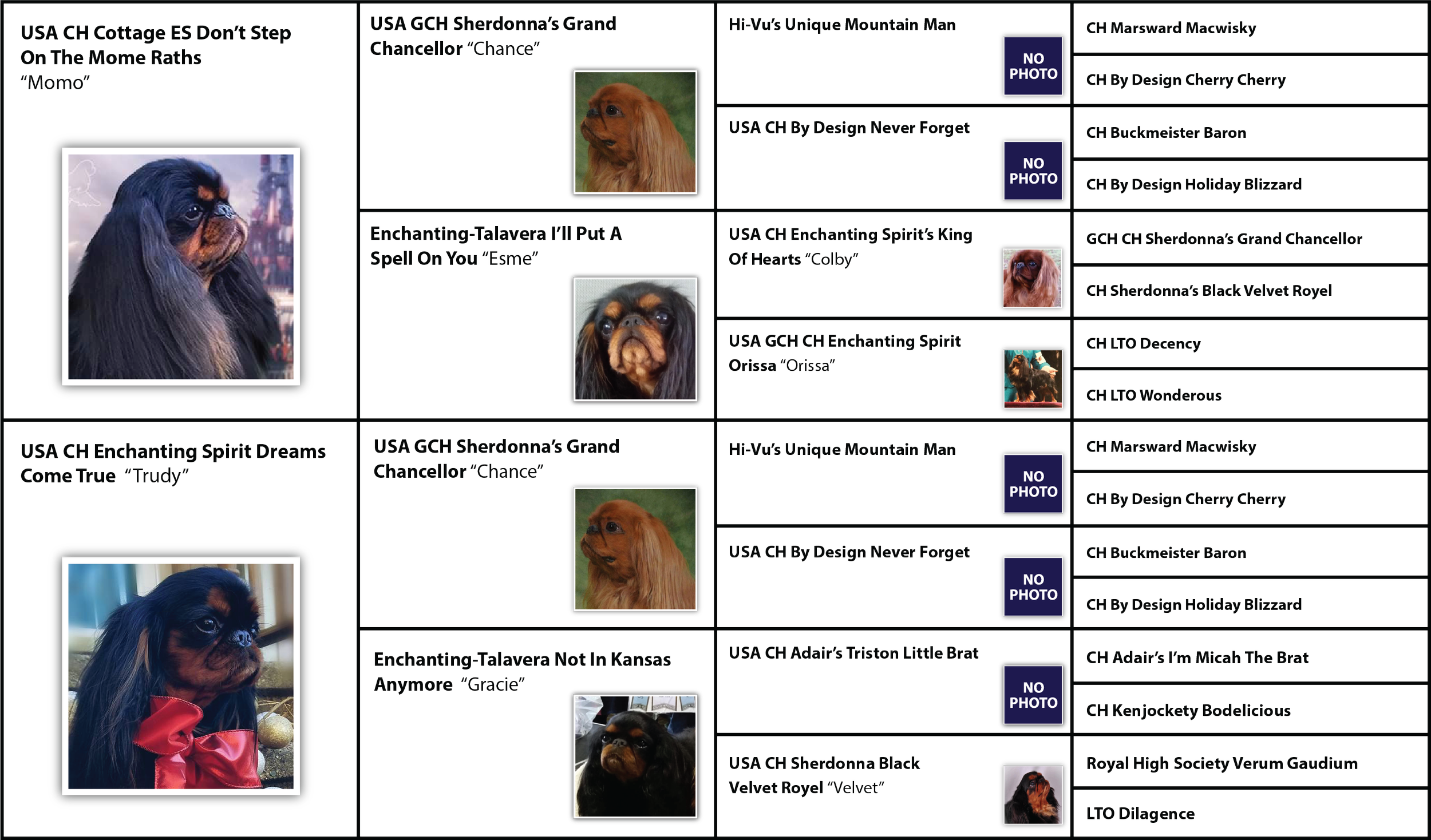 Cedric Visual Pedigree