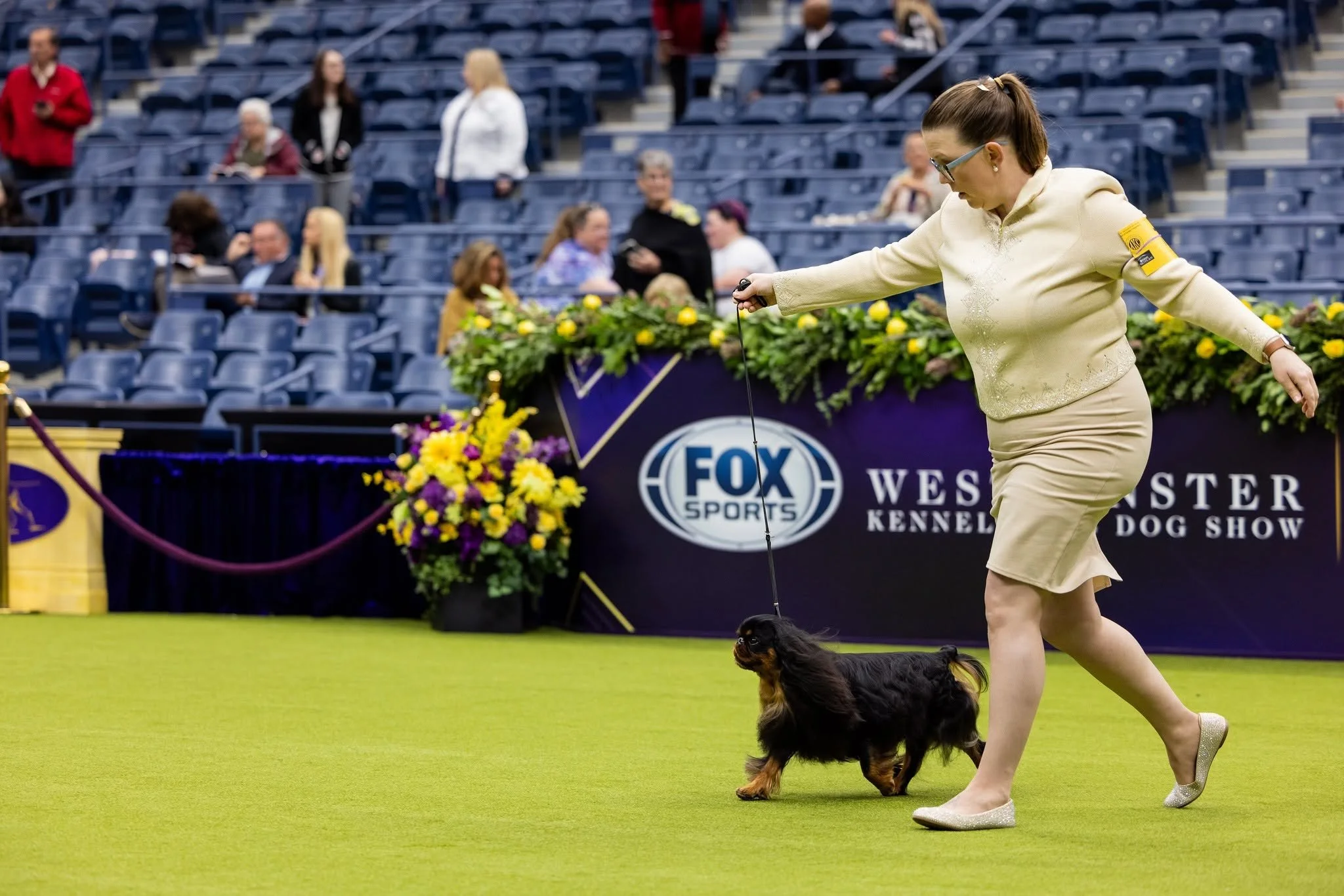 Cedric, English Toy Spaniel, with Meghann at Westminster Kennel Club