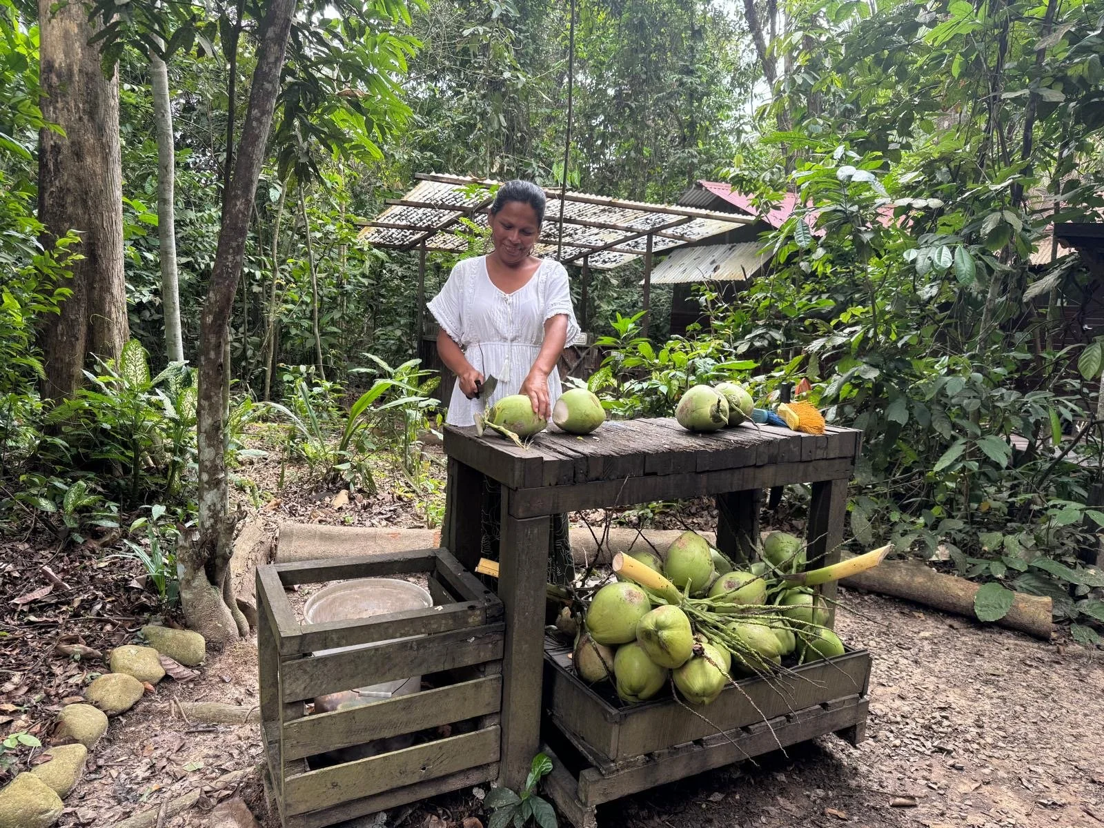 711e1376-904f-492c-8708-a39e83c00c52 2.JPG