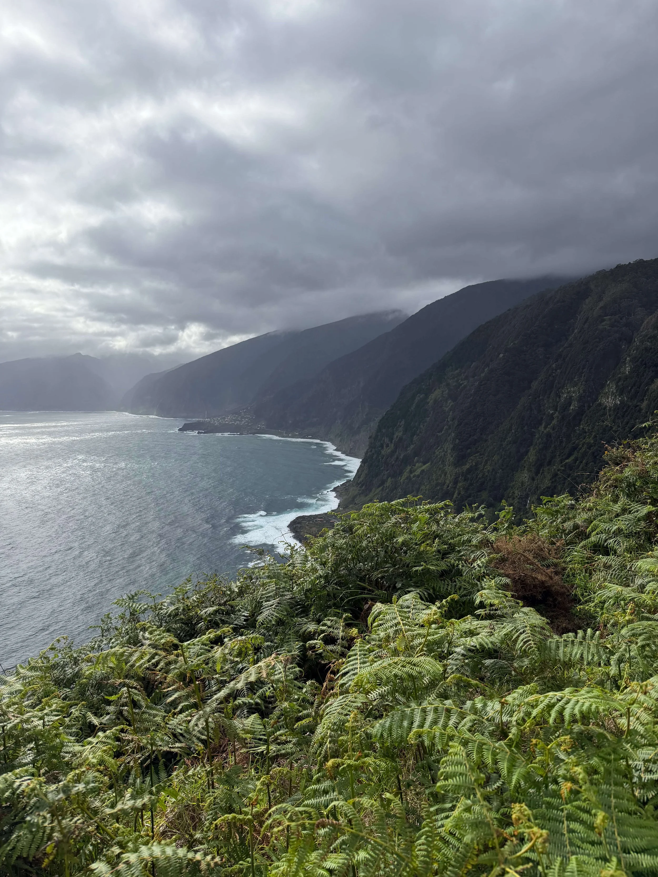 The North Shore Madeira