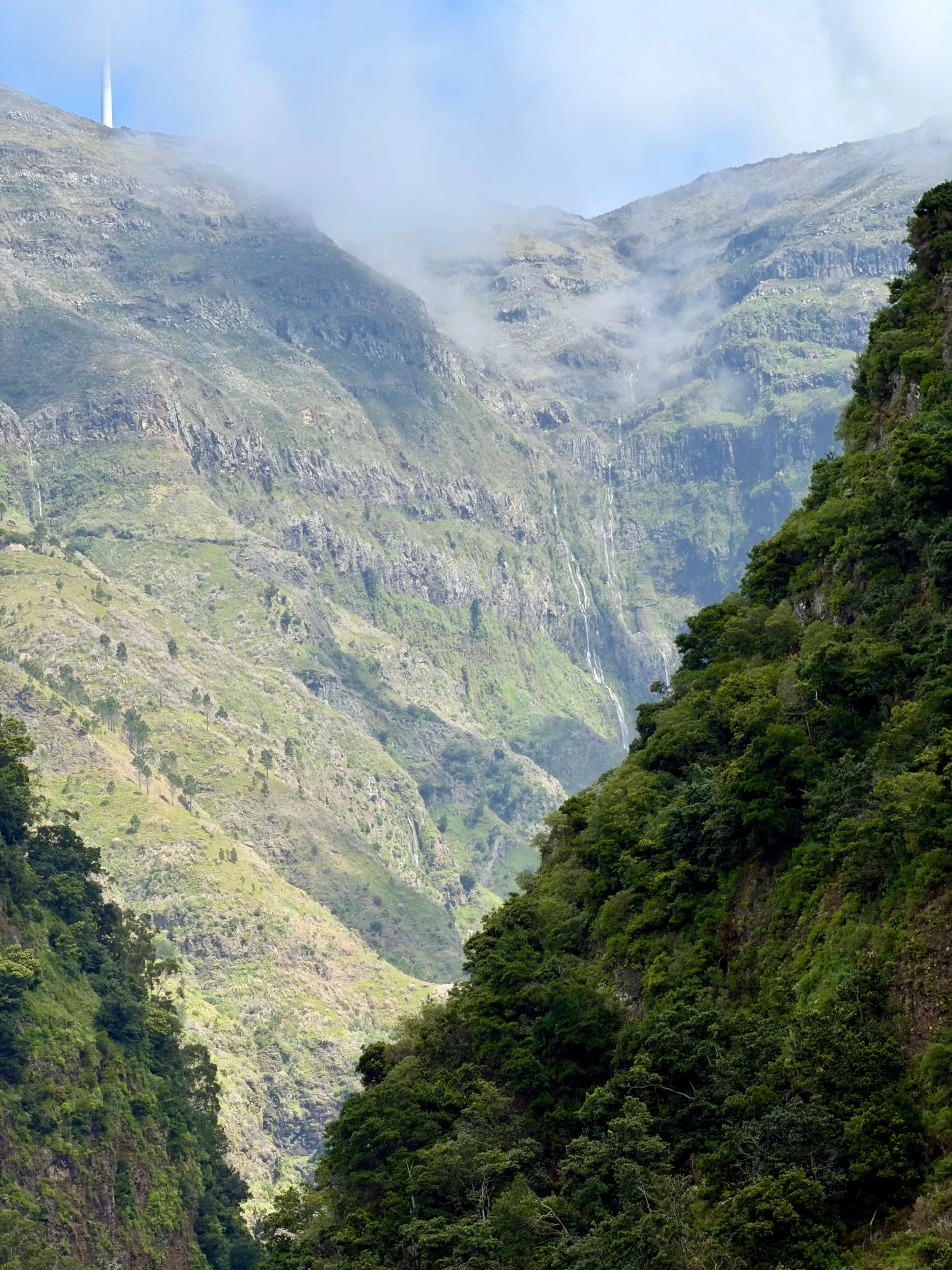 Levada Nova Madeira