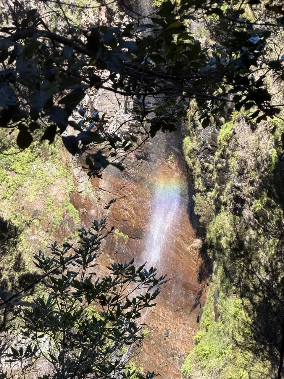 PR 6 and 6.1 Madeira, Portugal