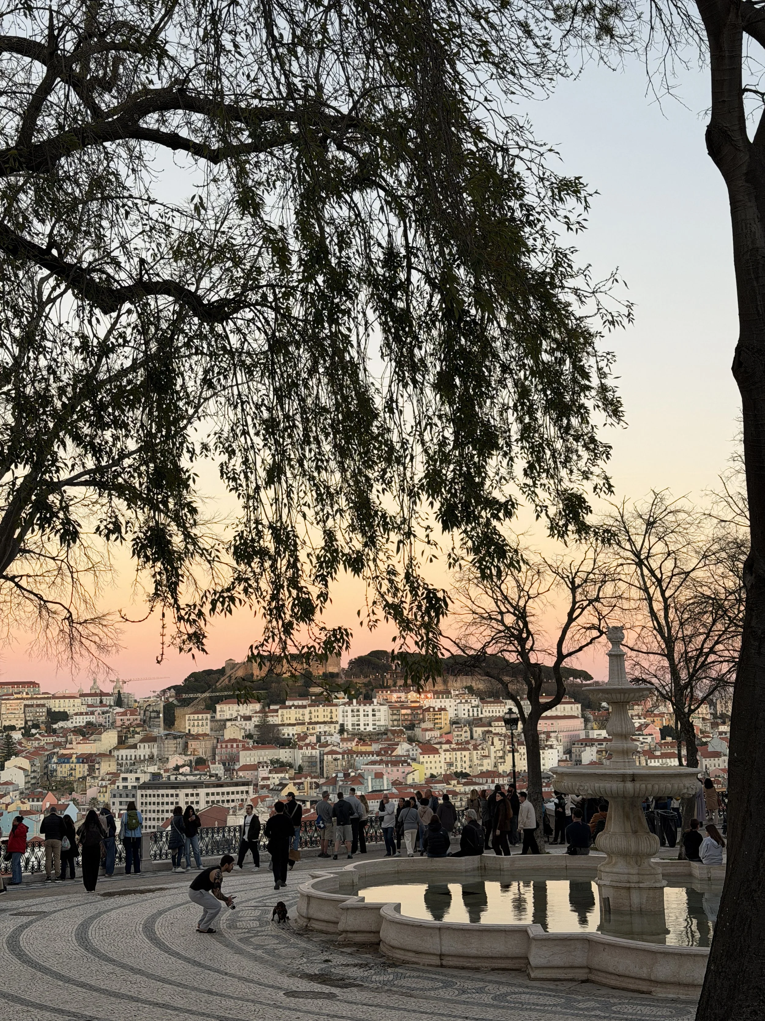 My Lisbon Guide