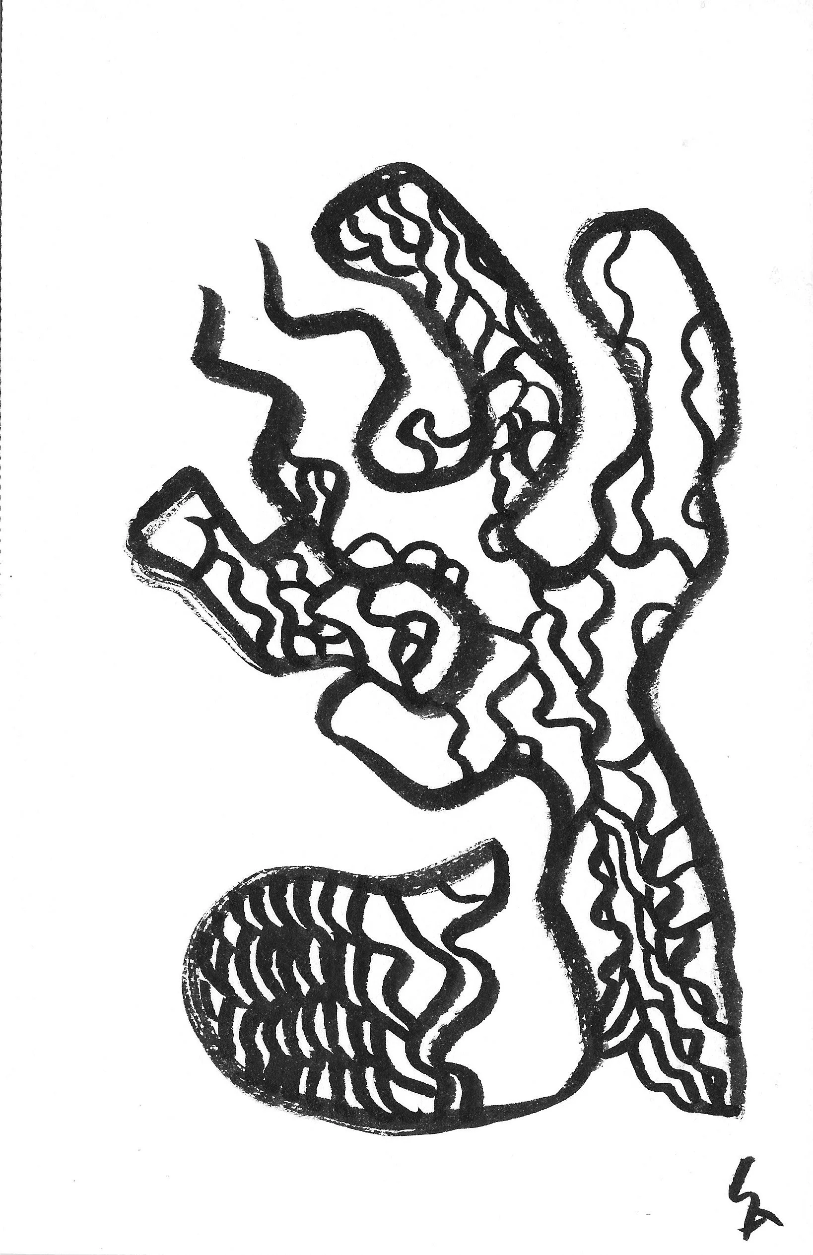 Scan 42.jpeg