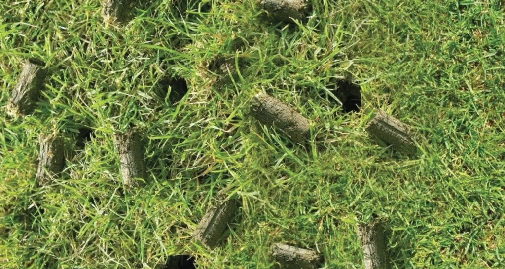 The Breath of Fresh Air Your Lawn Needs: Understanding Lawn Aeration