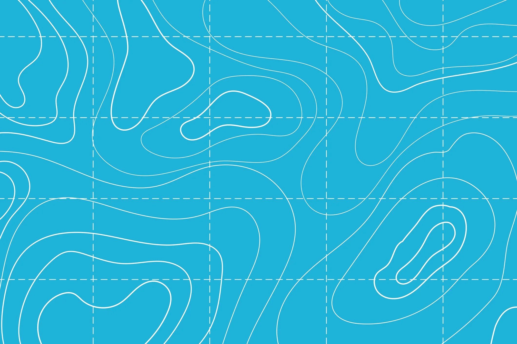 Navigating Four Kinds Of Organizational Land