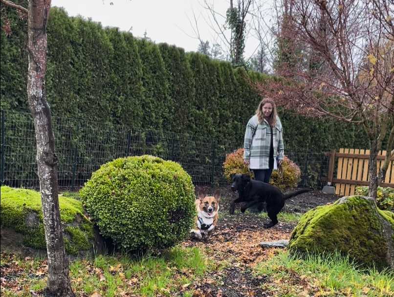 Screenshot 2025-03-14 at 9.07.20 AM.png