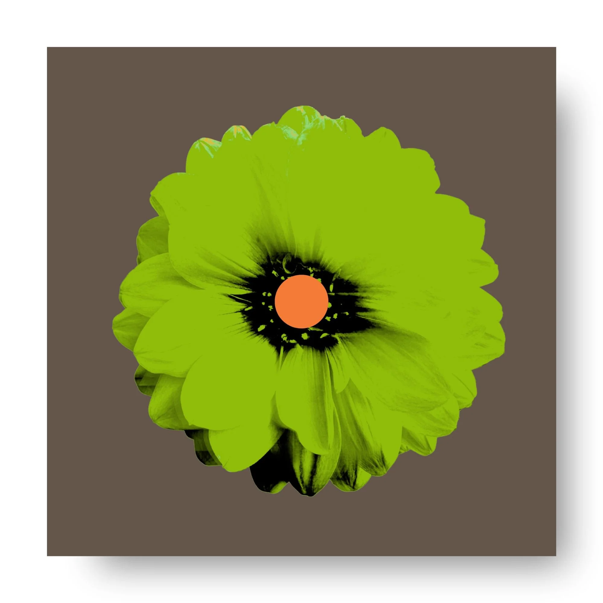"Dahlia (Stem)" 
Archival pigment print, acrylic on panel
20×20 in. (unframed)
$425