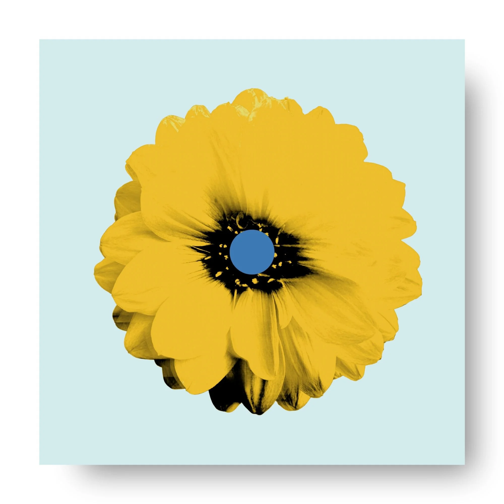 "Dahlia (Saffron)" 
Archival pigment print, acrylic on panel
20×20 in. (unframed)
$425