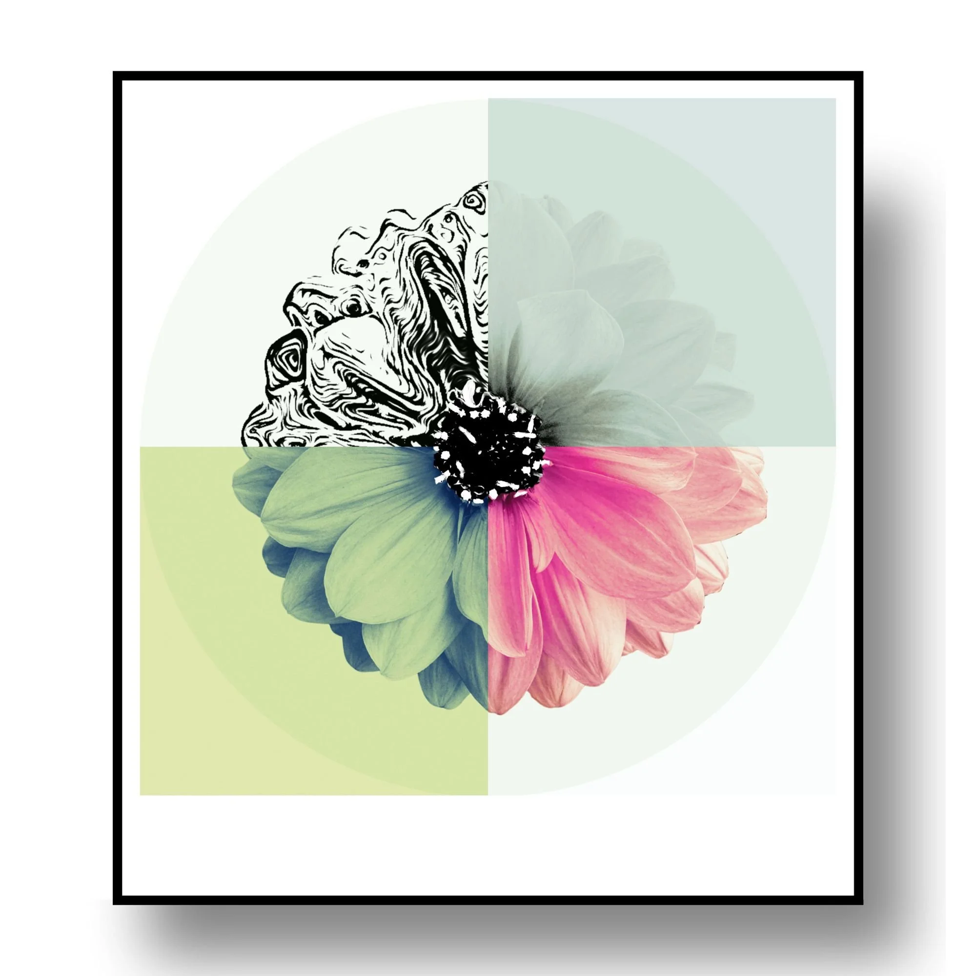 "Chroma Study No. 6"
Archival pigment print on Korean hanji paper
25.25×28 in. (framed)
$380