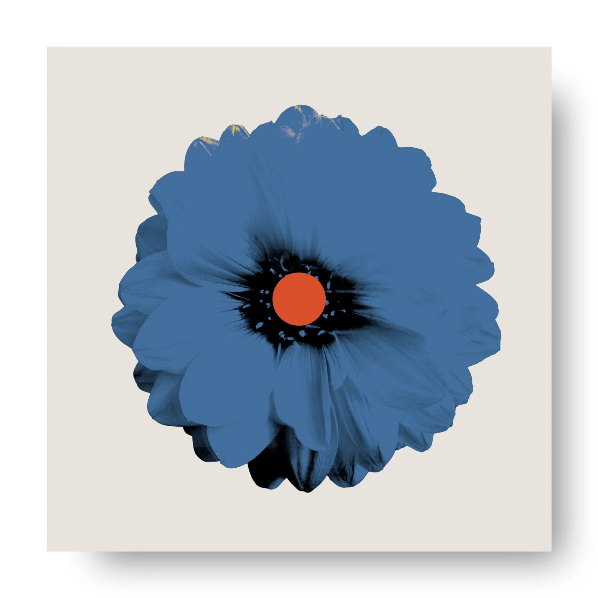 "Dahlia (Sea)" 
Archival pigment print, acrylic on panel
20×20 in. (unframed)
$425