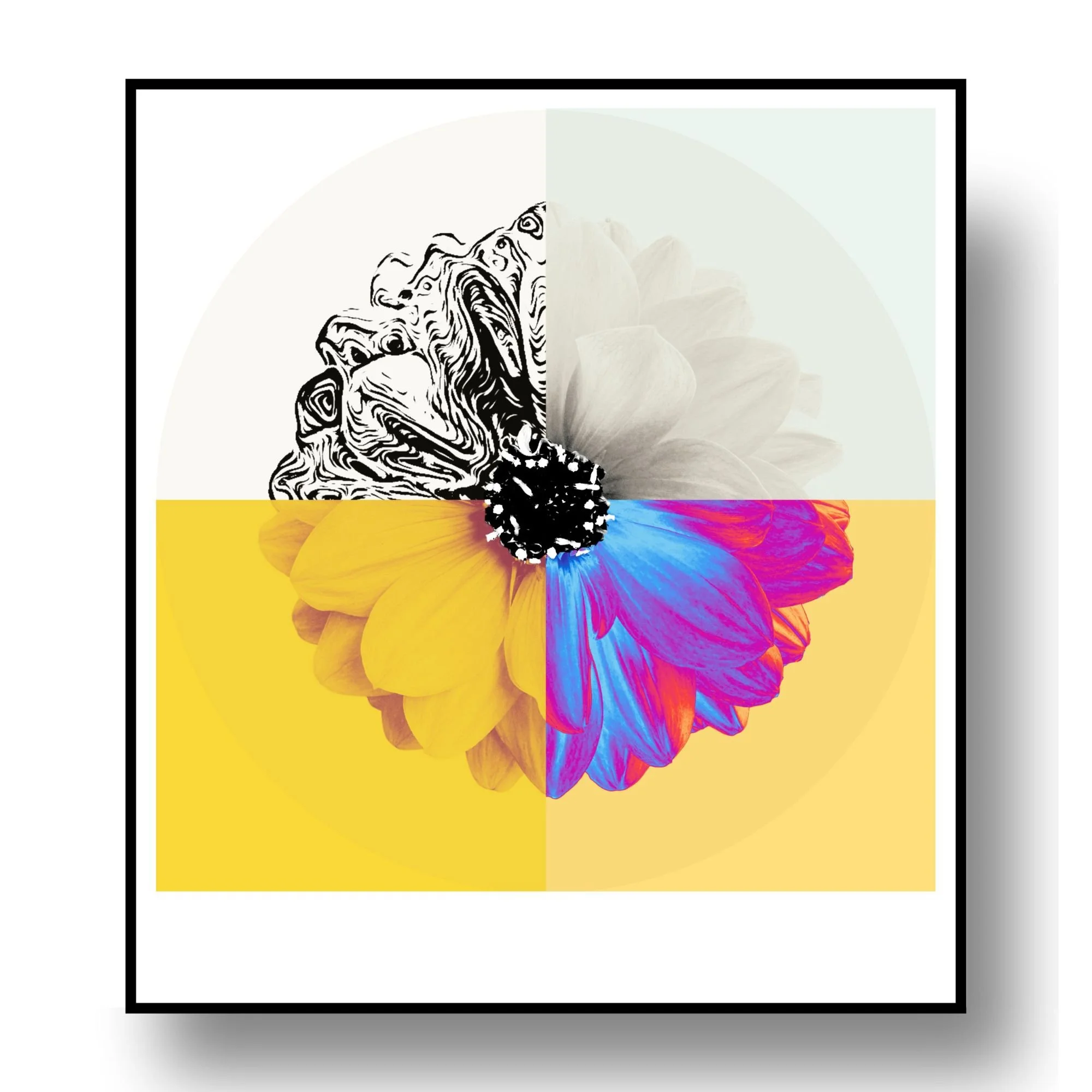 "Chroma Study No. 2"
Archival pigment print on Korean hanji paper
25.25×28 in. (framed)
$380 ON HOLD