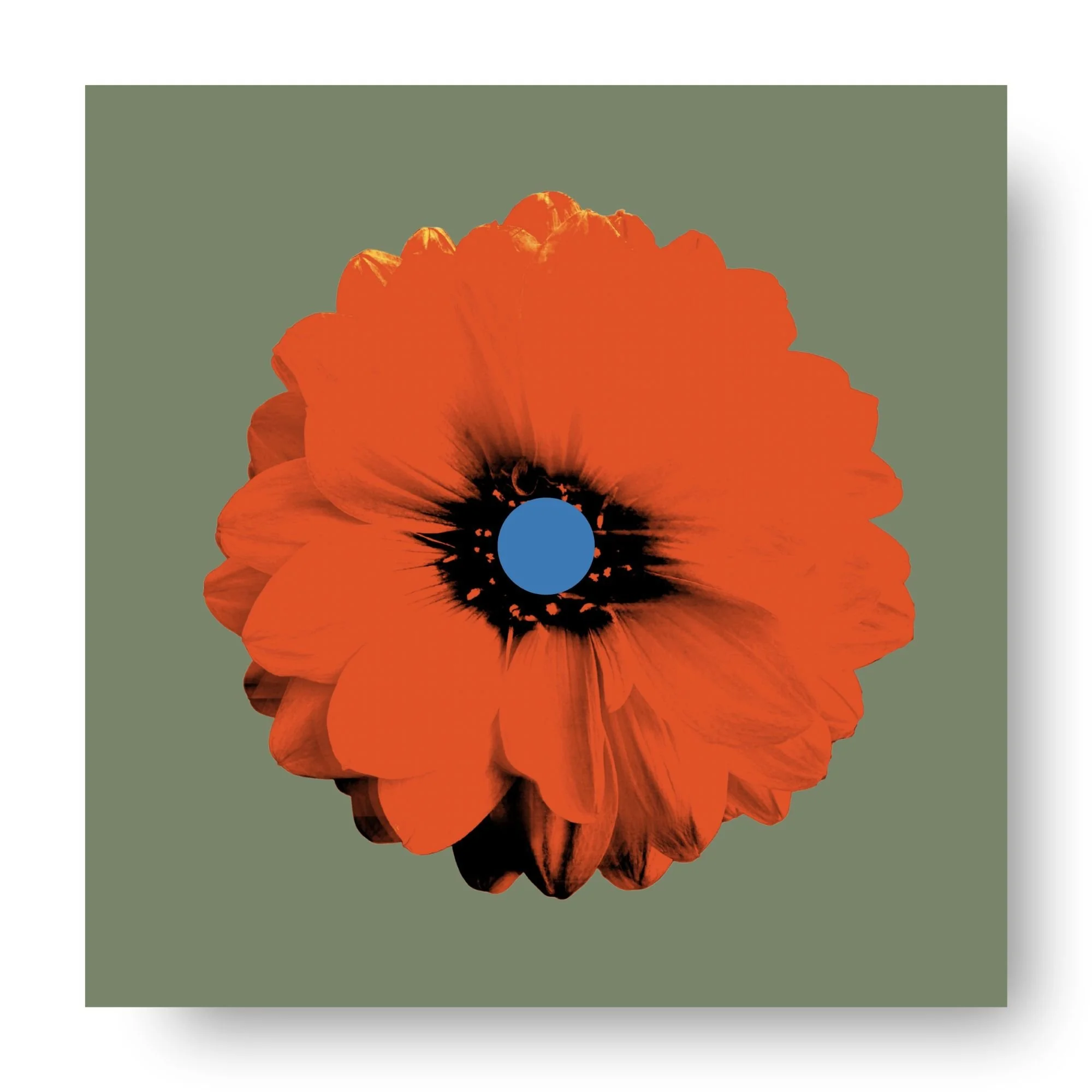 "Dahlia (Sedona)" 
Archival pigment print, acrylic on panel
20×20 in. (unframed)
$425