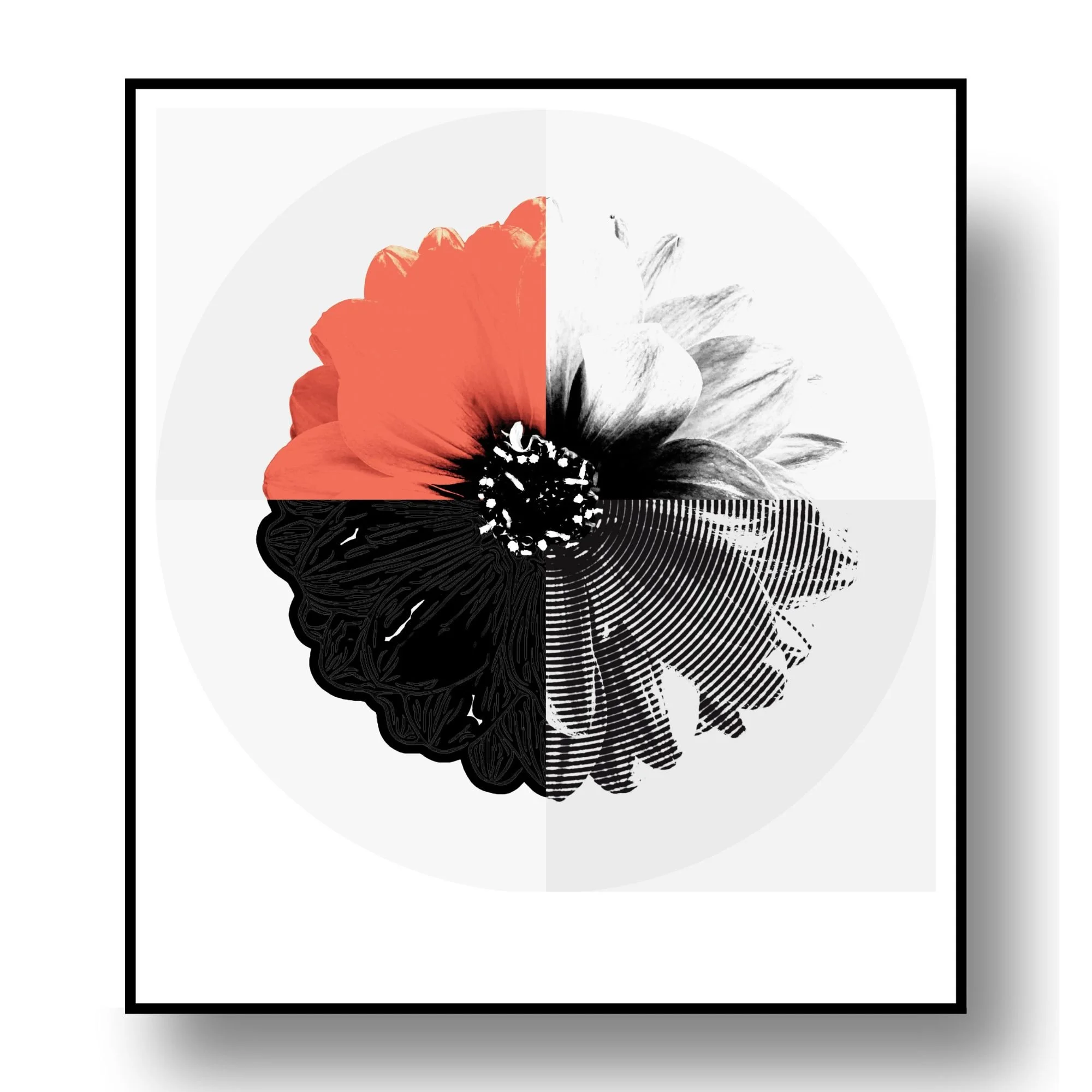 "Chroma Study No. 5"
Archival pigment print on Korean hanji paper
25.25×28 in. (framed)
$380