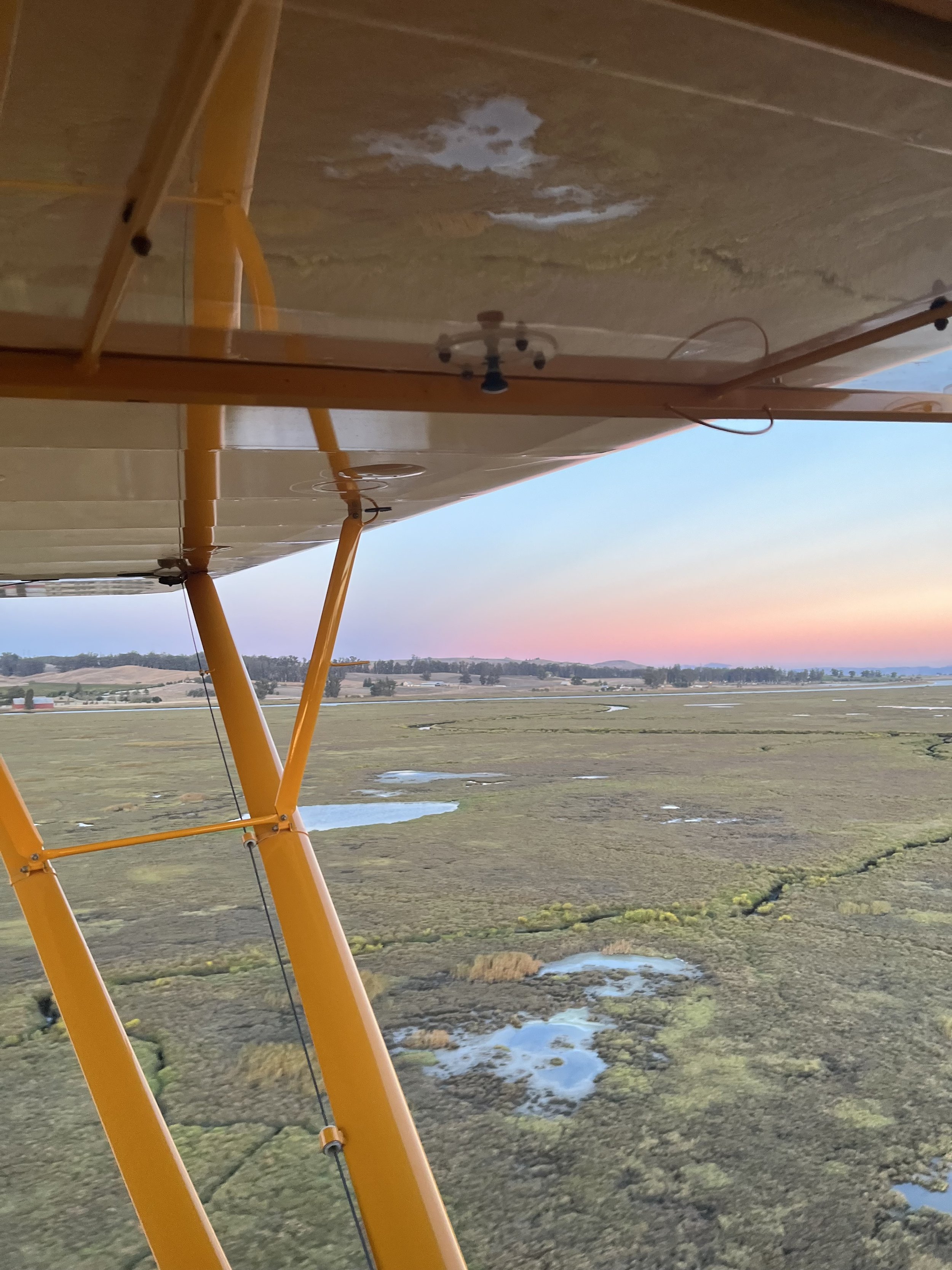 Flour Bombing Competition