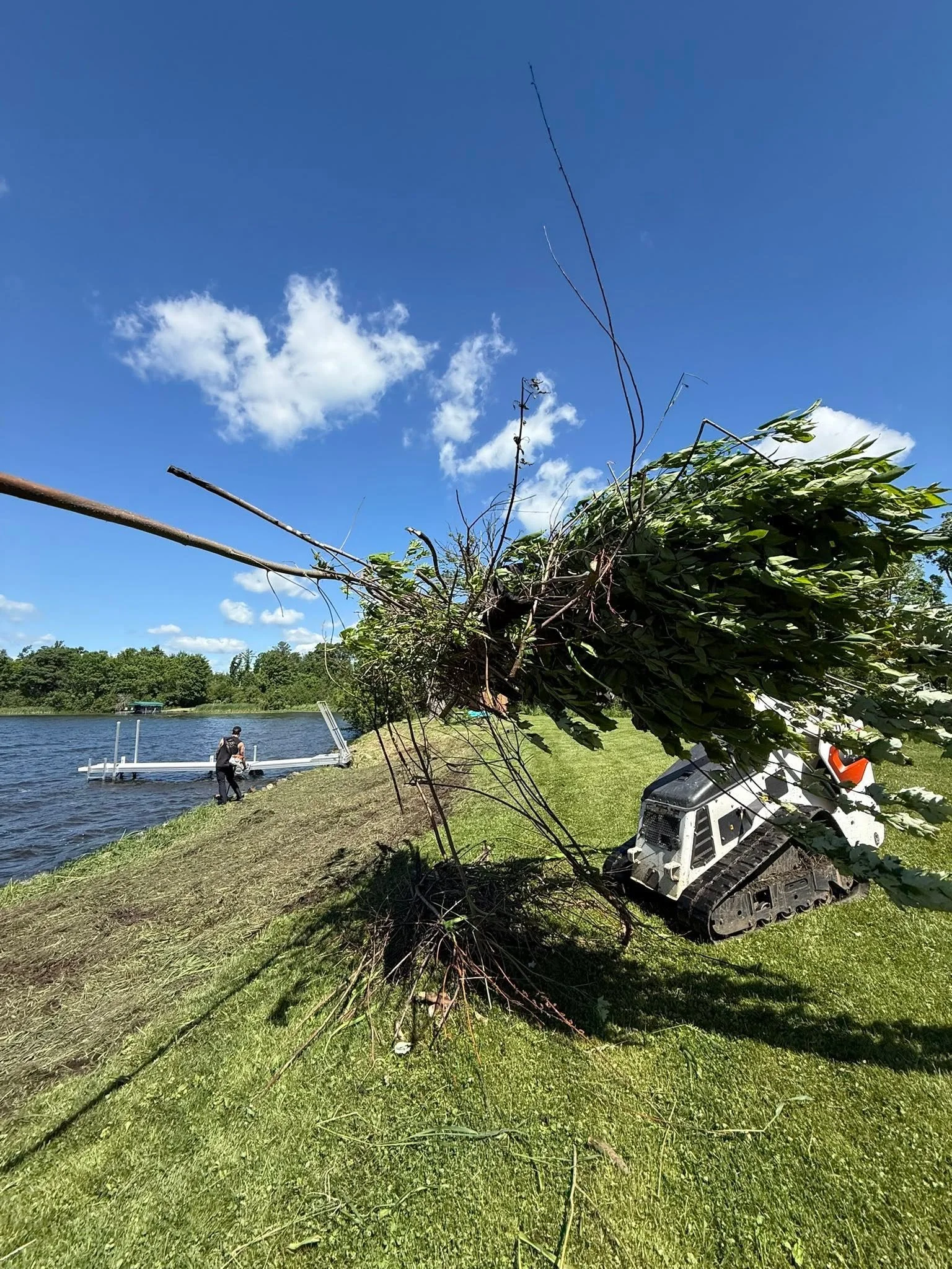 Shoreline Brush Disposal Brush Clearing Land Clearing Hudson WI Hillside Clearing Wisconsin Amery Turtle Lake River Falls Brush Clearing New Richmond Brush Clearing Shoreline Brush Cleanup Wisconsin Land Clearing Hudson Wisconsin Dunn County Eau Clai