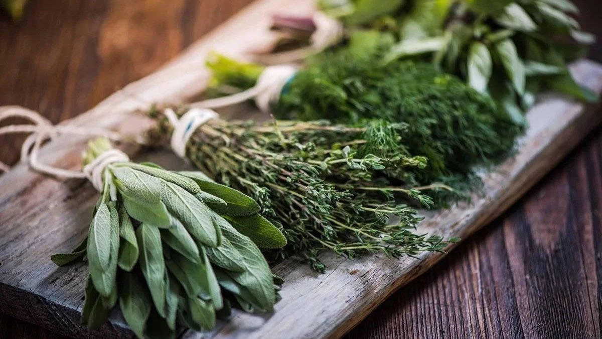 Herb Planting & Pairing w/ Geske's Gardens