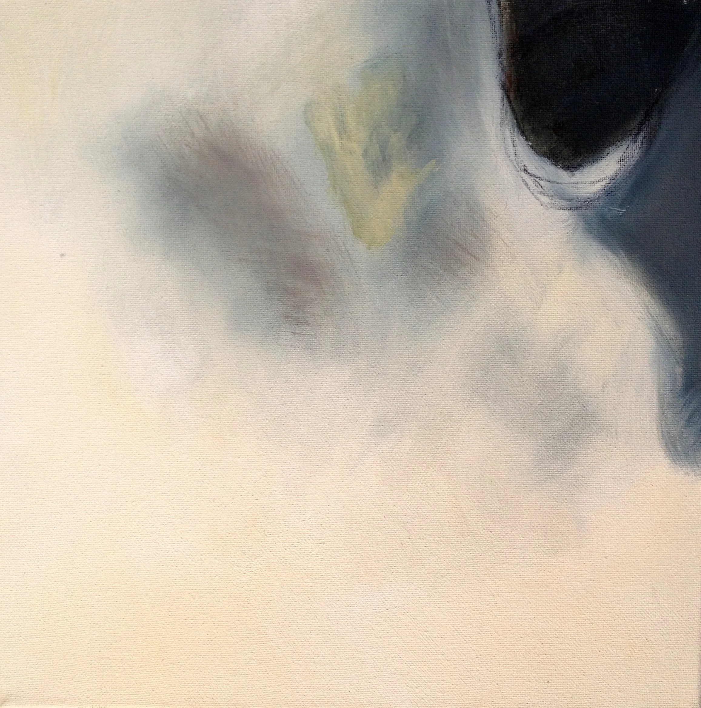 02 Walk Detail (16).JPG