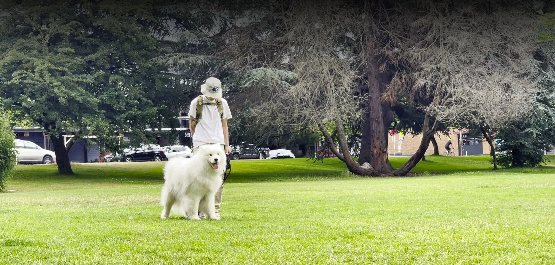 Meet+Your+Trainers-Header-Bailey+and+Ziggy.jpg