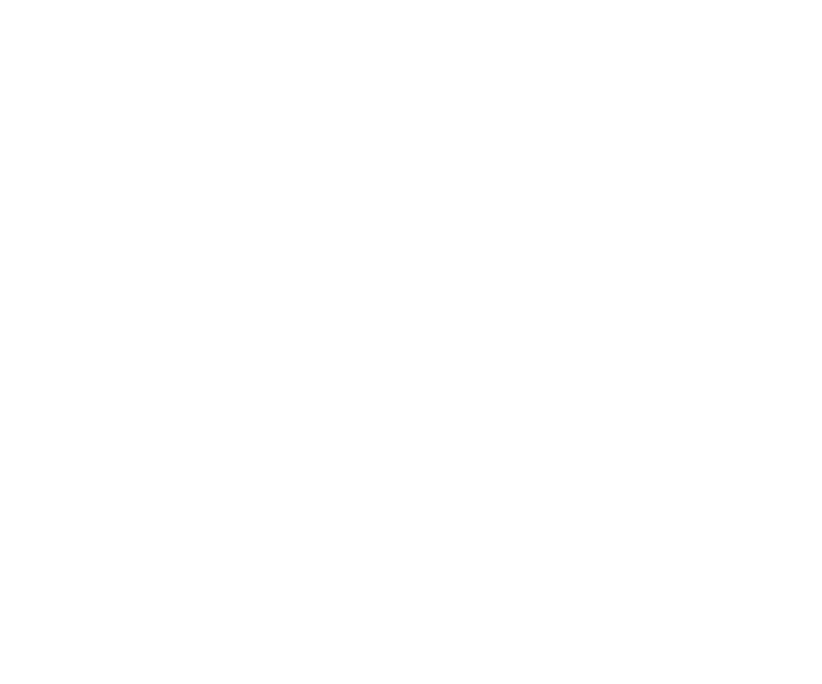 Leaps N Bounds K9 | Dog Training & Behavior Solutions