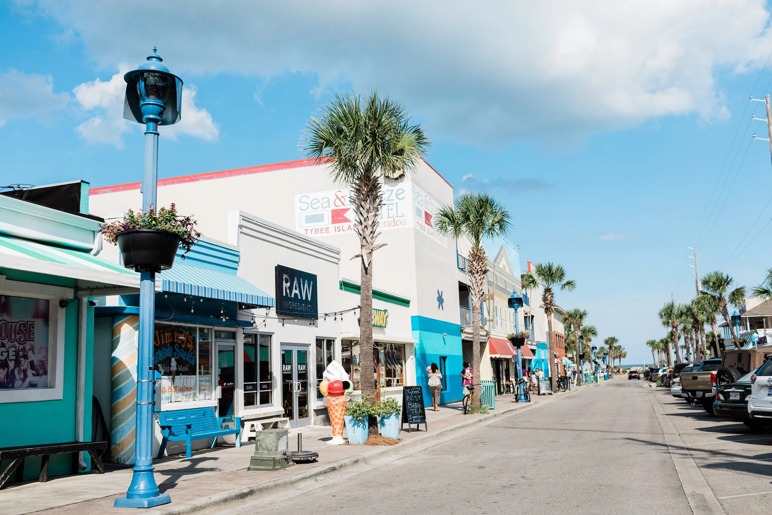 Tybee Beach or Black History Tour