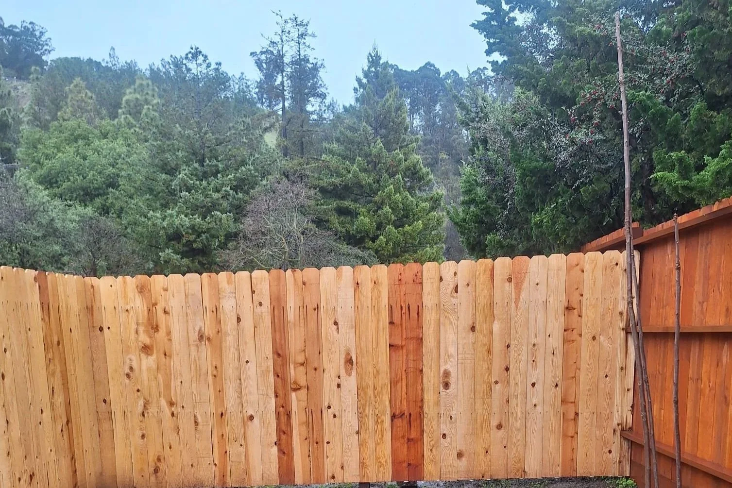 Backyard wood fence construction