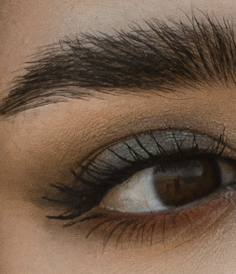 Eye with dark gray eyeshadow applied all over the eyelid and orange eyeliner on the lowr lashline