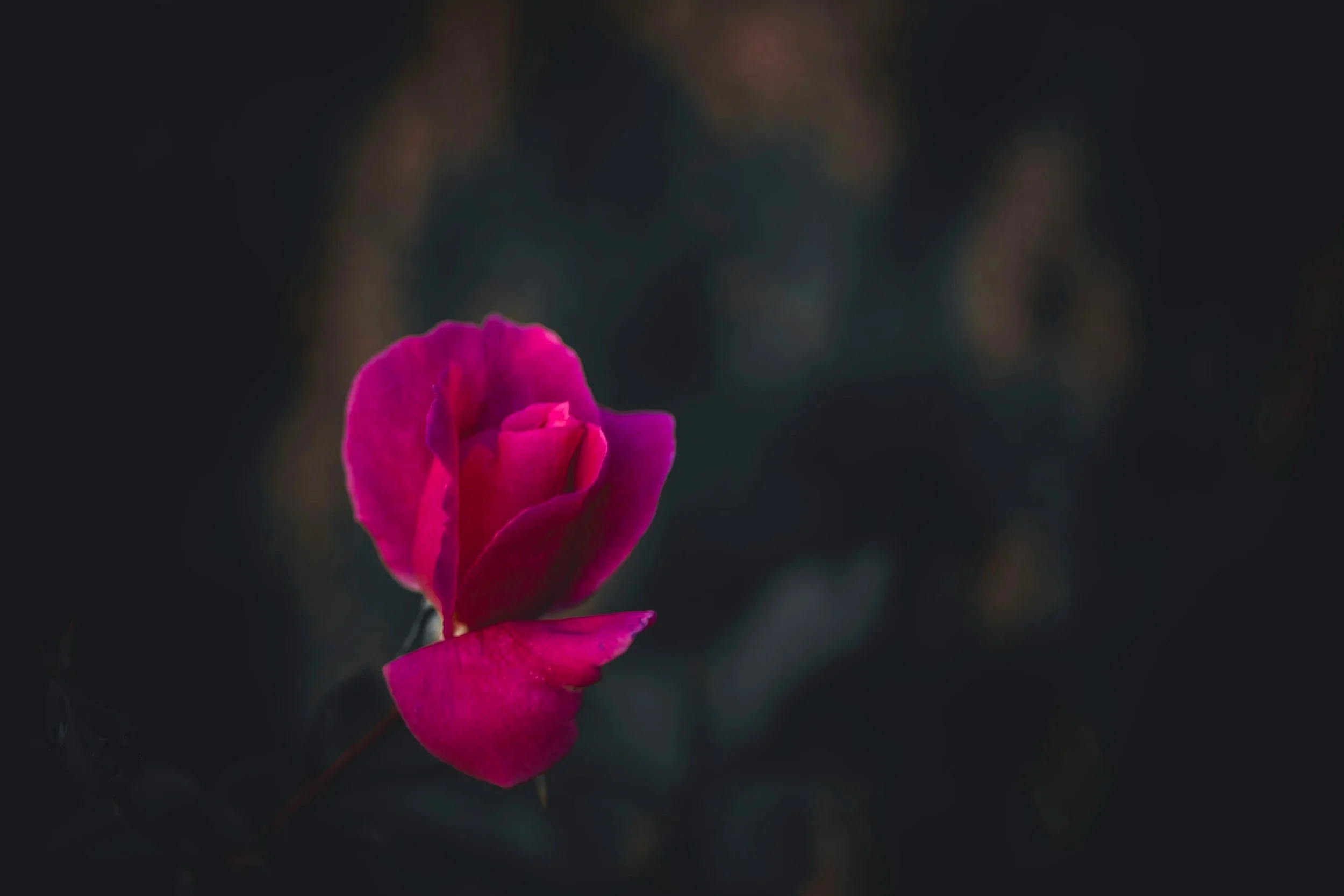 Romantic’s Surprising Best Colors