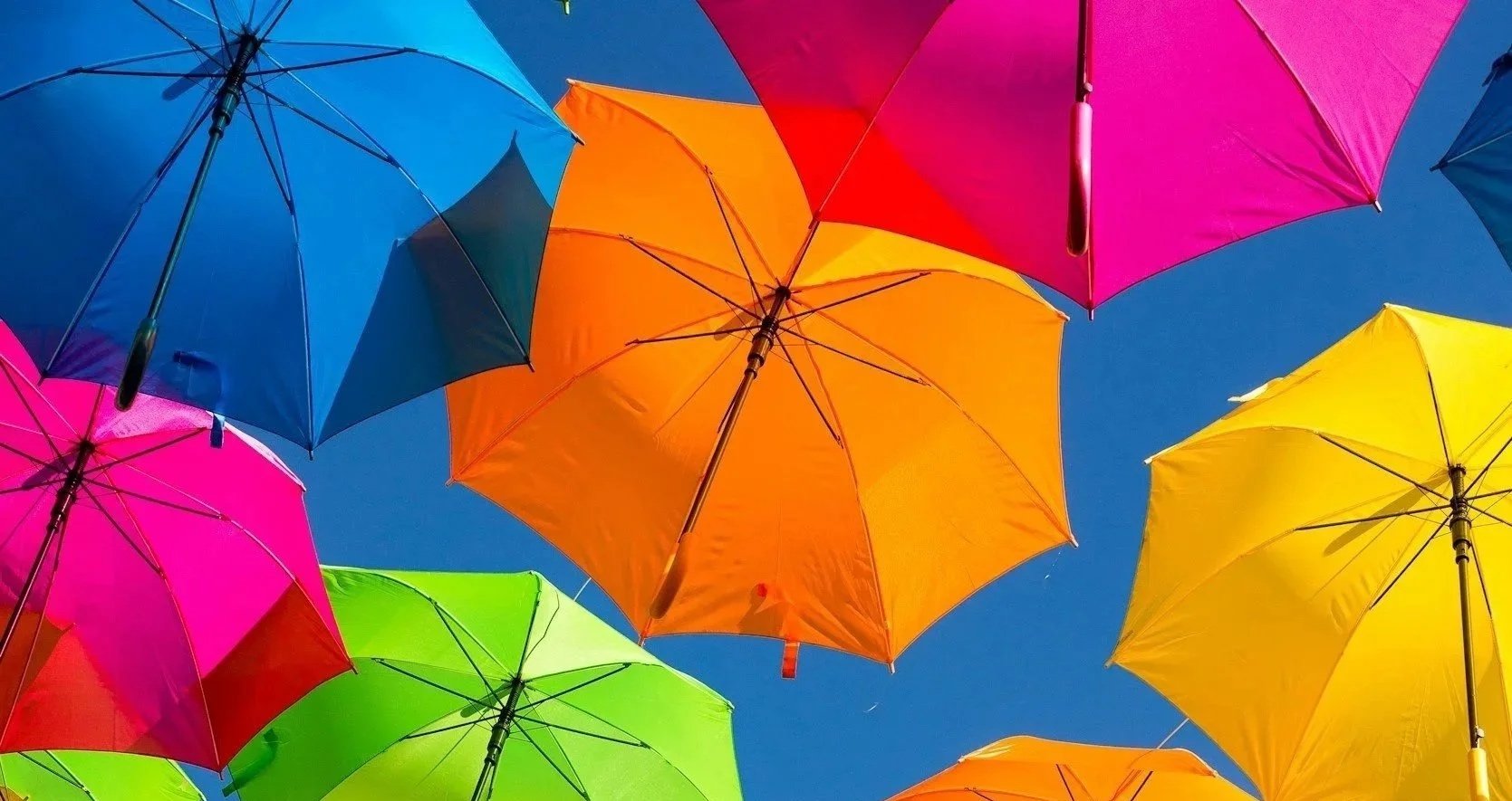 Gamine’s Best Colors