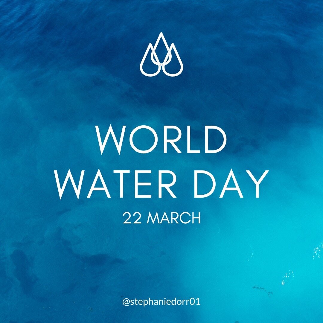 Happy World Water Day! 💧🌍 

Today, let's celebrate the importance of clean, accessible water for everyone and pledge to protect this vital resource for future generations. Share your water-saving tips and join the movement to ensure every drop coun