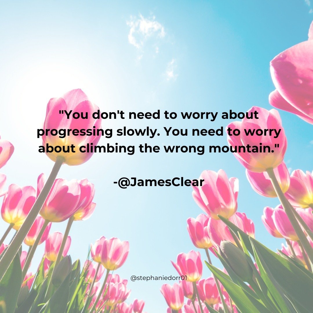 &quot;You don't need to worry about progressing slowly. You need to worry about climbing the wrong mountain.&quot;

-@JamesClear