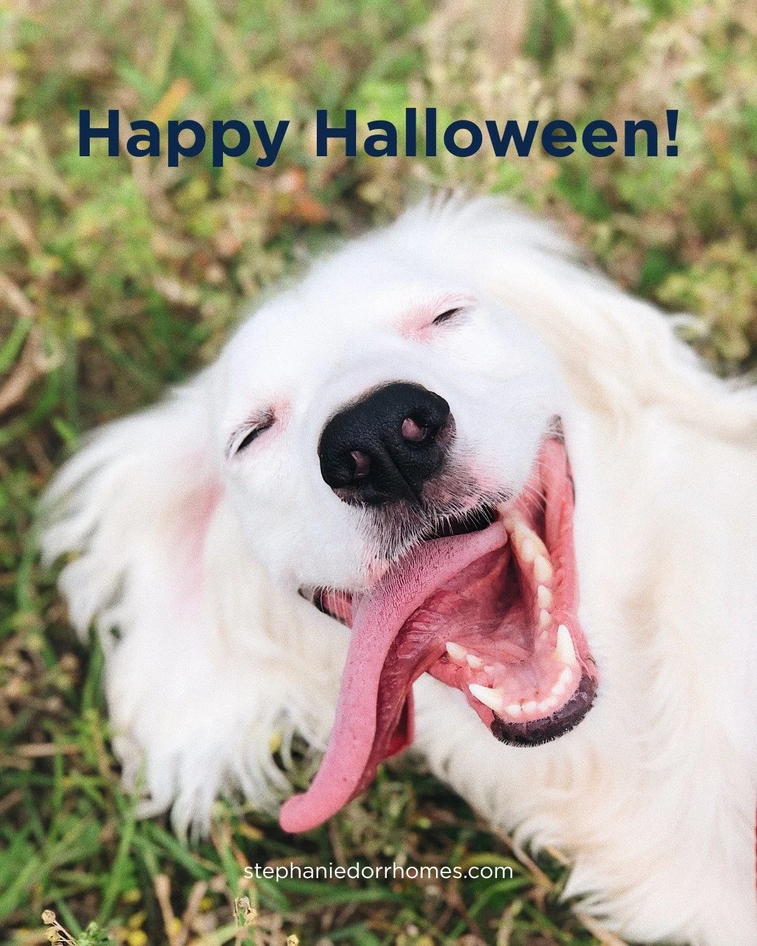 on is here! Whether you’re trick-or-treating, carving pumpkins, or just enjoying the fall vibes, make it a Halloween to remember! 👻🍬 
#HalloweenFun #SpookySeason #FallVibes