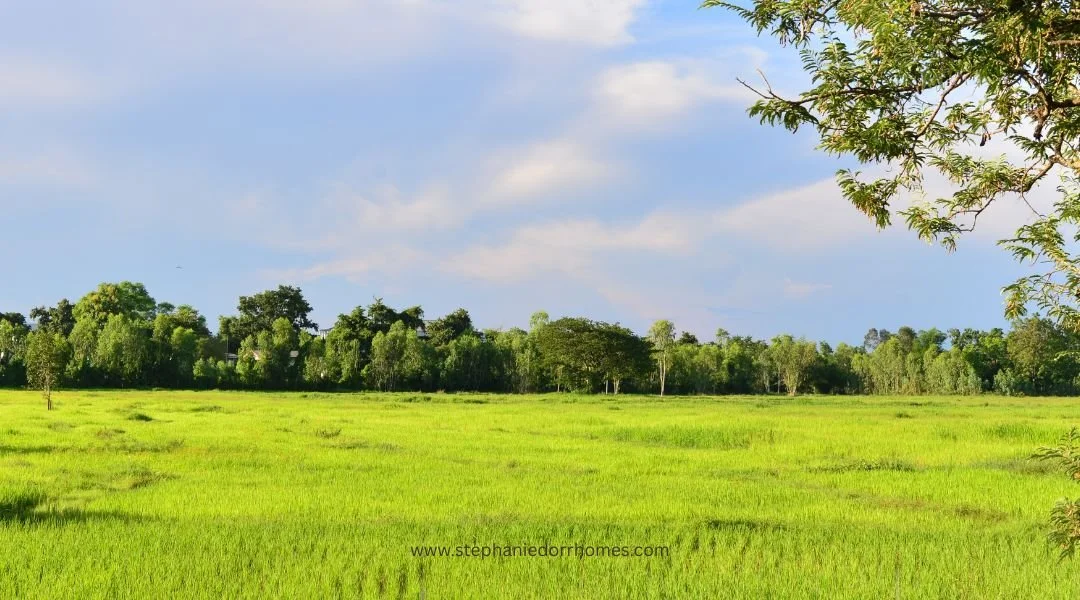 Buying Land in Kansas City - what you need to know