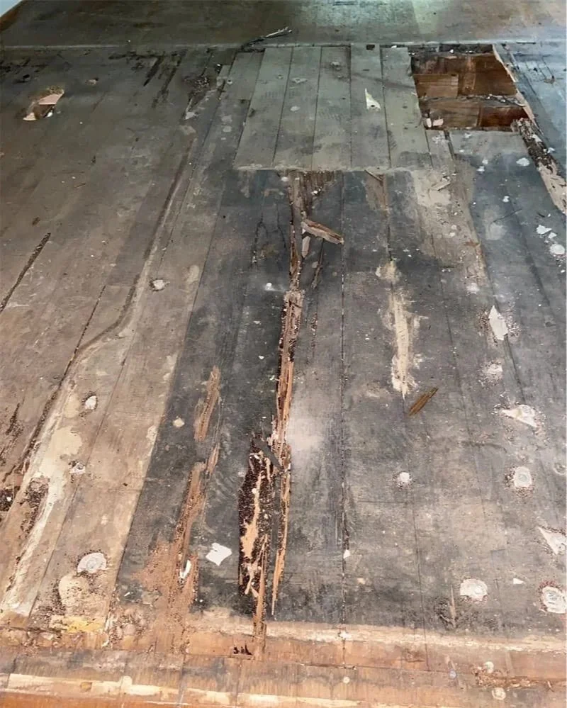 Pre-Demolition Flooring