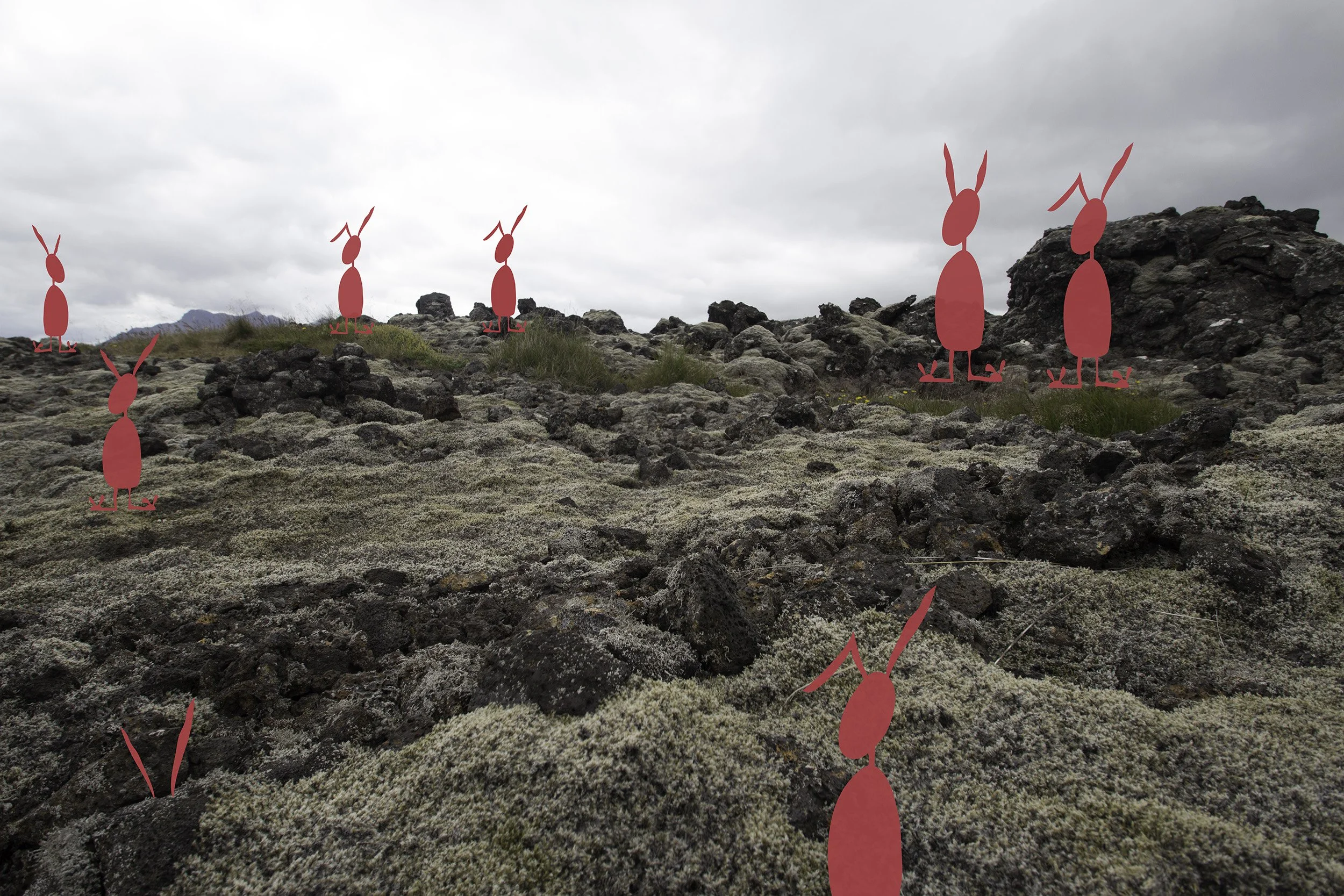 bunny-west coast iceland-6955-2500 px %22looking for the cheesecake factory%22 .jpg