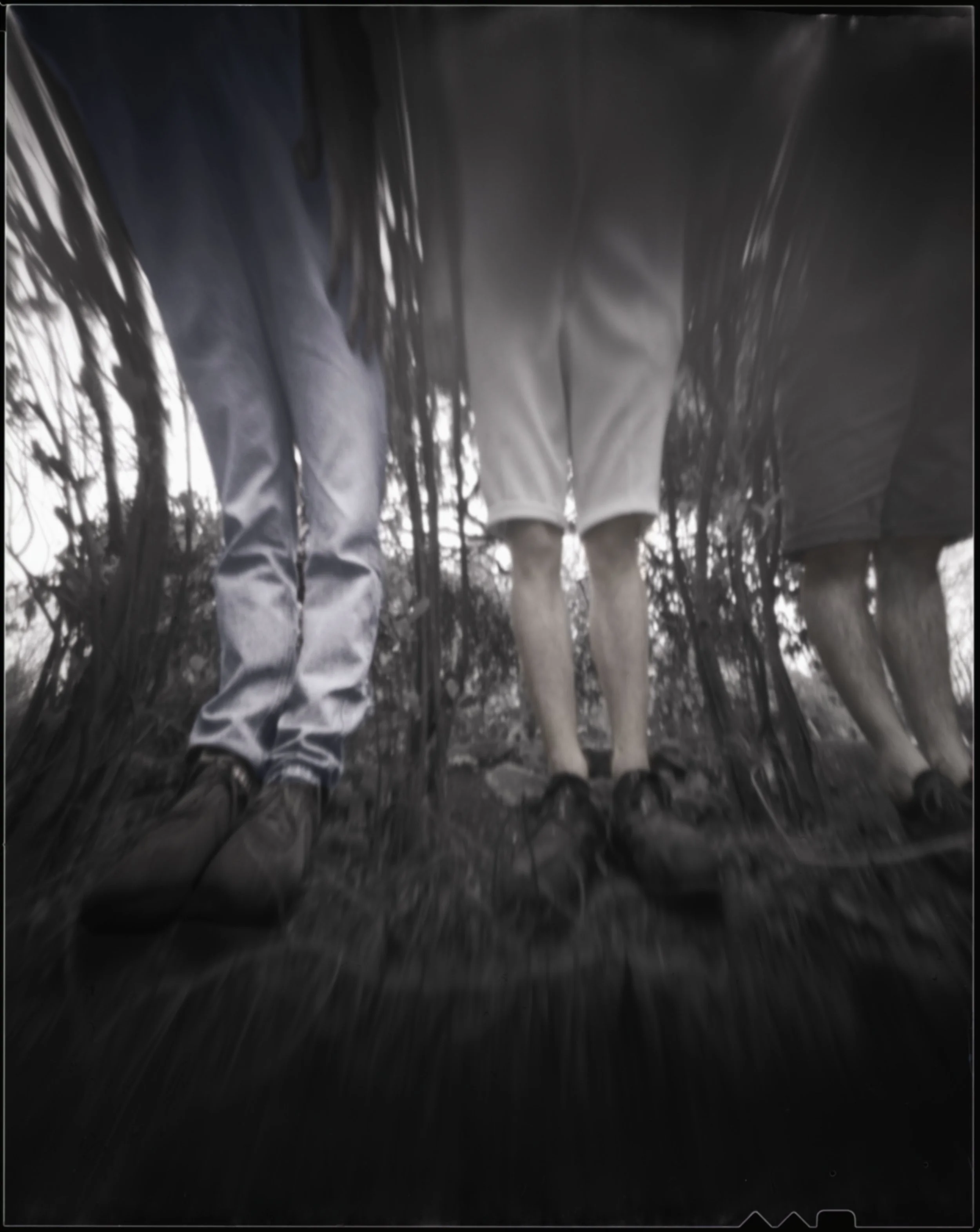01brlegs-Edit-Edit.jpg