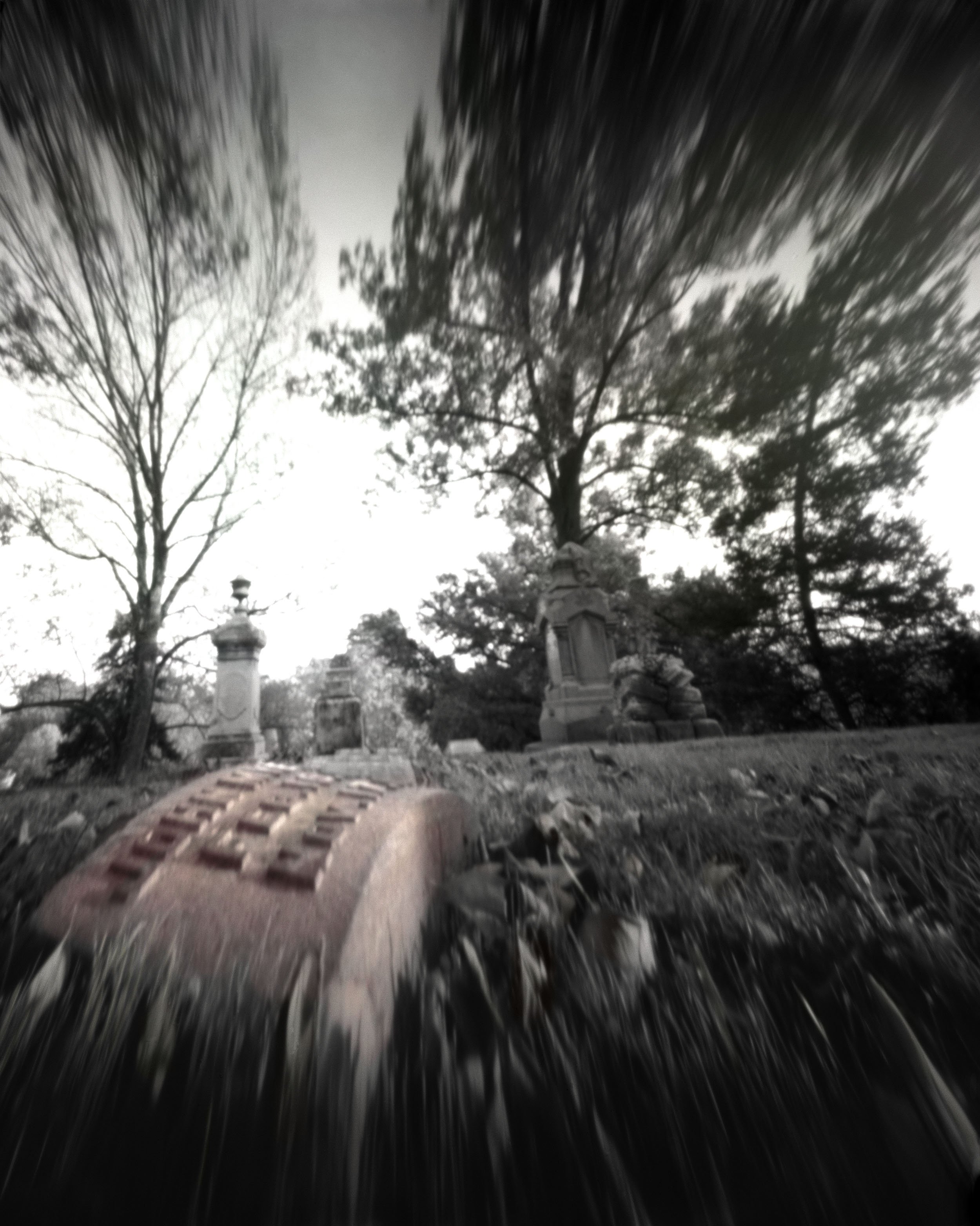 springrove_copy_2500w.jpg