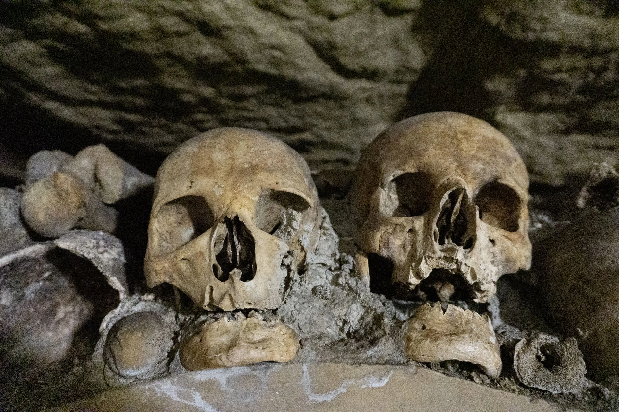 skulls-DSC00384 copy.jpg