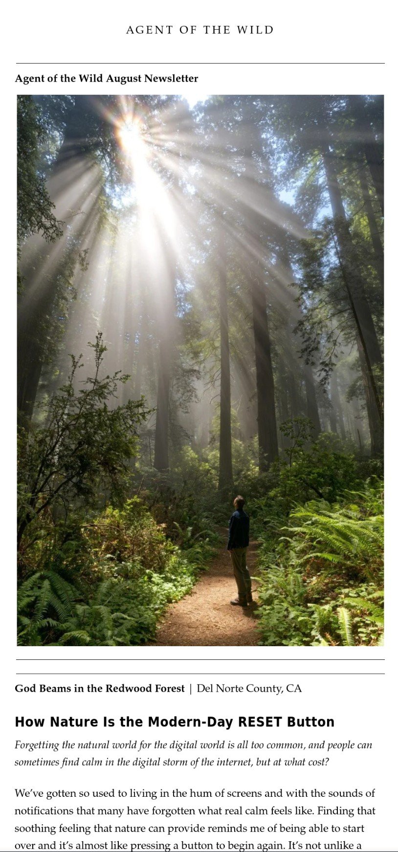 Agent of the Wild August Newsletter 2025 RESET Button