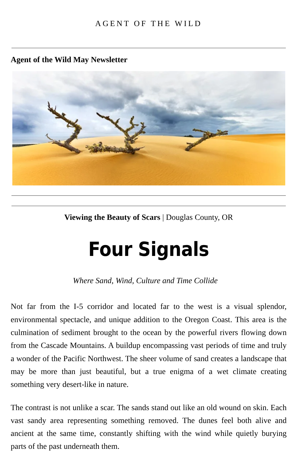May 2026 Newsletter Four Signals.png
