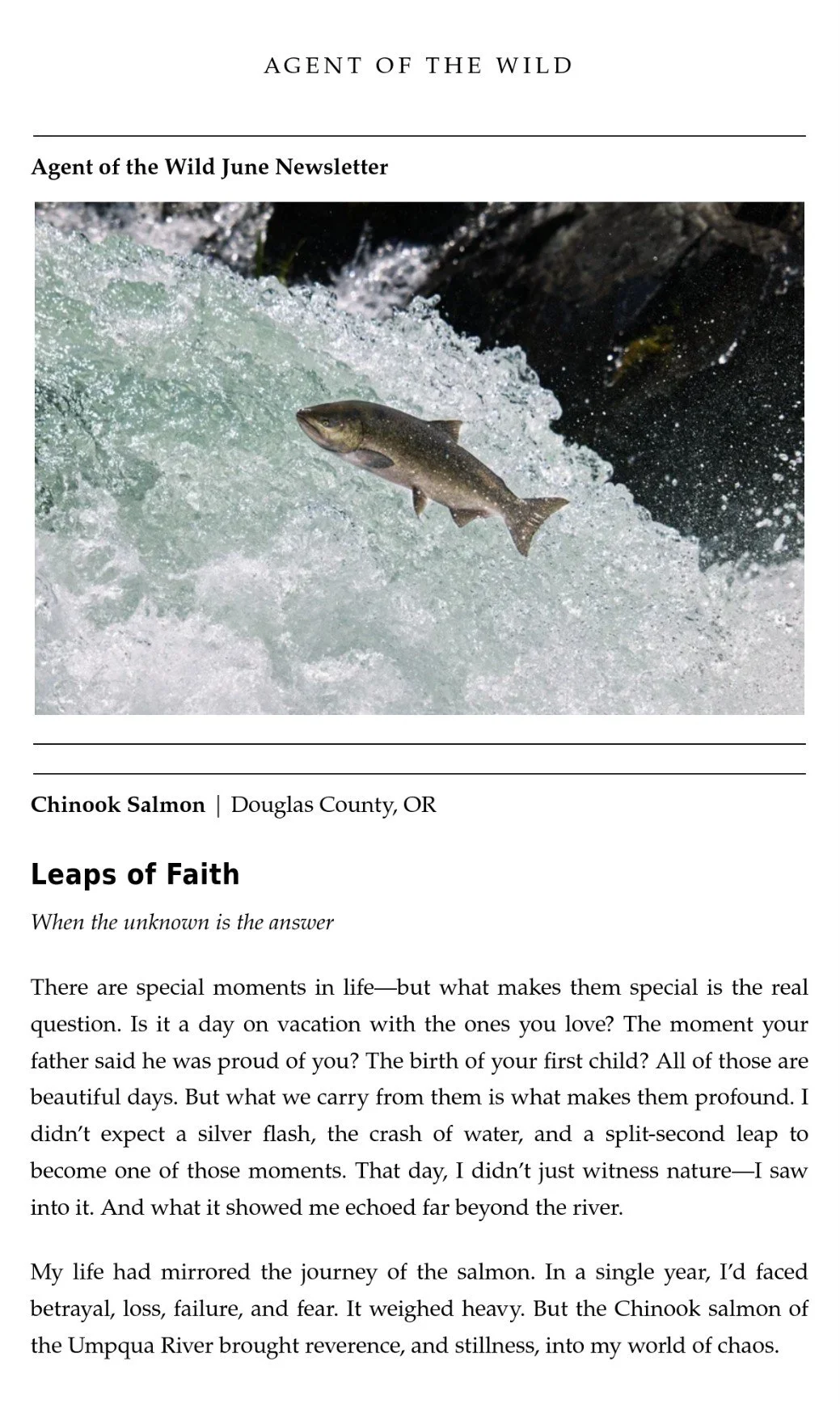 Agent of the Wild June Newsletter Leap of Faith