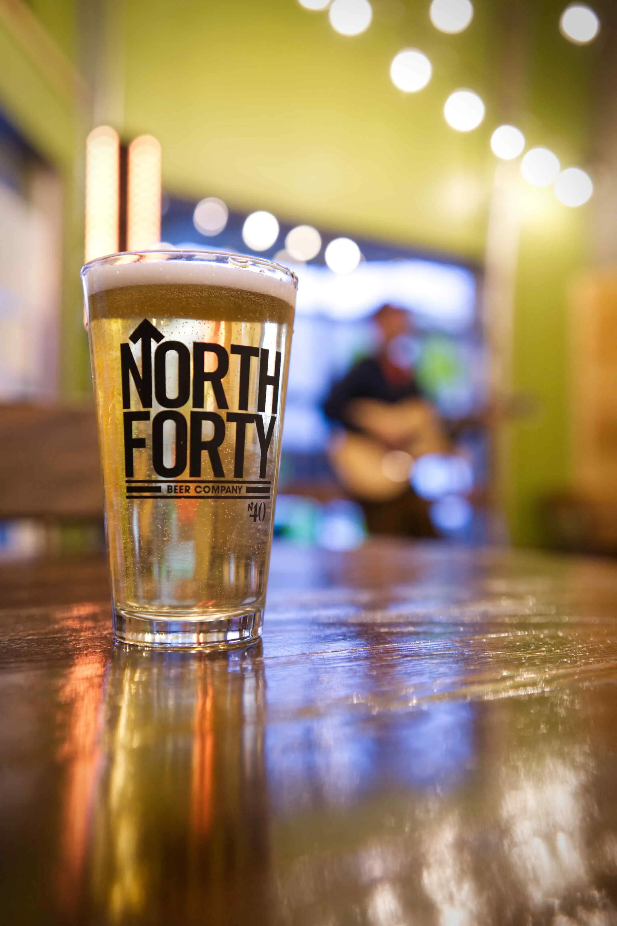 North 40 Neil Gregory Johnson.jpg