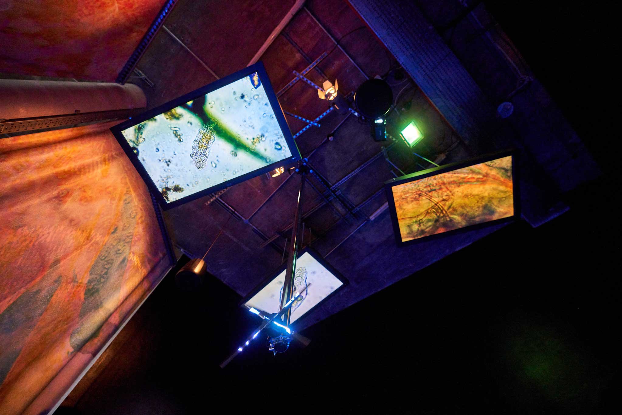 Josèfa-Ntjam,-When-The-Moon-Dreamed-of-the-Ocean-(2022).--Installation-view-at-FACT-Liverpool.-Photo-by-Rob-Battersby.-HIGH-RES10.jpg